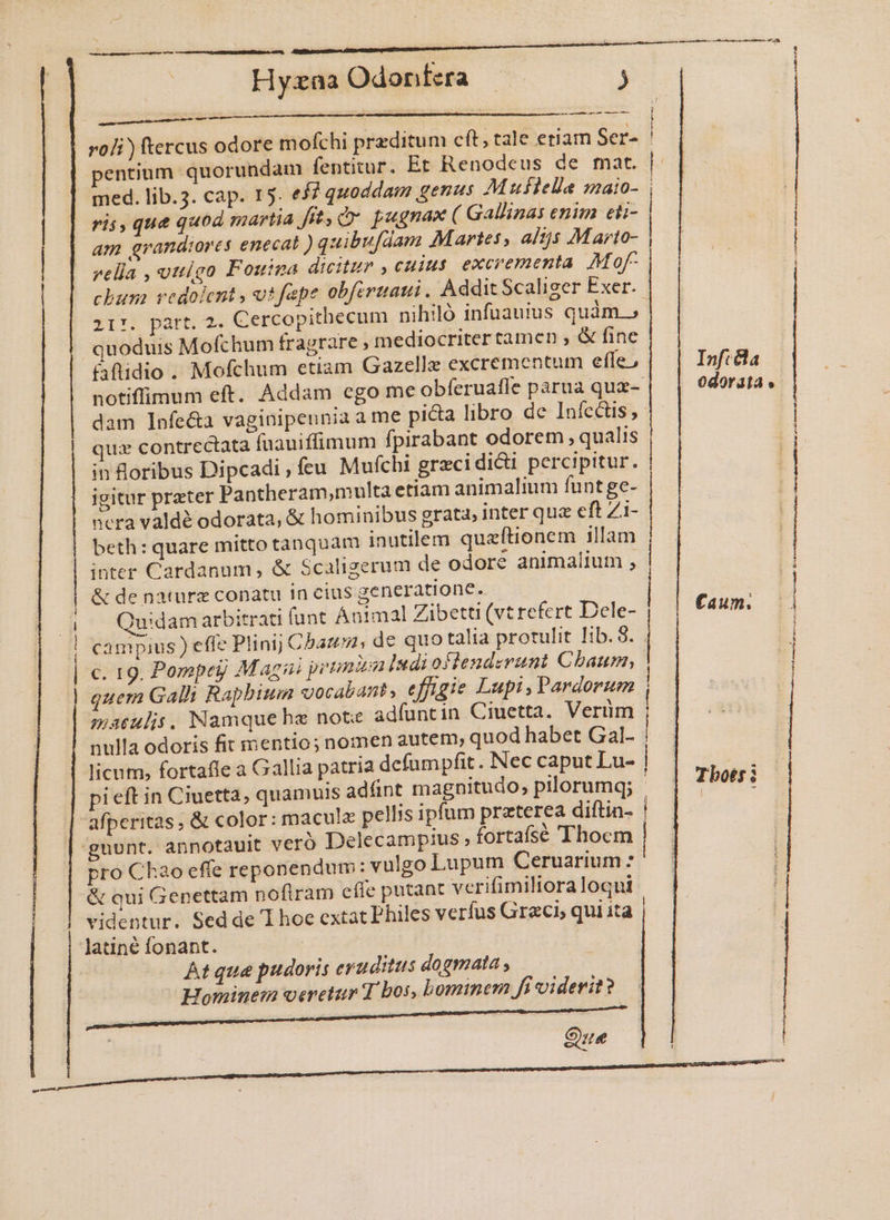 RELREUTSNISUUETUSMRISQUCURRPENNPUI MEN DEM Hyzaa Odontera - ) aT —— M — M — roji ) ftercus odore mofchi preditum cft, tale eriam Ser- entium quorundam fentitur. Et Renodeus de fnat. med. lib.3. cap. 15. e? quoddam genus Muílella maio- ris, que quod martia fit» Qv pugnax ( Gallinas enim eti- am grandiores enecat ) quibufdam Martes, altj5 Marto- vella ,uuigo Fouina dicitur , cuius. excrementa Mof- chum vedolent, os fape obfertati. AdditScaliger Exer..- i17. part. 2. Cercopithecum nihiló infuauius quàm; quoduis Mofchum fragrare , mediocriter tamen , &amp; fine &amp;aftidio . Mofchum etiam Gazelle excrementum effe, notiffimum eft. Addam cgo me obferuafle parua qua- dam Infe&amp;a vaginipeunia a me picta libro de Infectis ,- quz contrectata fuauiffimum fpirabant odorem , qualis in &amp;oribus Dipcadi , feu Mufchi grecidict percipitur. igitur preter Pantheram,multa etiam animalium funt ge- sera valdé odorata, &amp; hominibus grata, inter qua eft Z1- beth: quare mitto tanquam inutilem quazftionem illam inter Cardannm , &amp; Scaligerum de odore animalium ; &amp; de nature conatu in cius generatione. uidam arbitrati (unt Animal Zibetti (vt refert Dele- campius ) effc Plinij Chan de quo talia protulit Iib. S. . c. 19. Pompeij Magni prt Indiofiendezrunt Cbaum, quem Galli Raphbium vocabant, effigie Lupi, Pardorum | matulis. Namque he note adfuntin Ciuetta. Verüm i nulla odoris fit mentio; nomen autem, quod habet Gal. : licum, fortafle a Gallia patria defumpfit . Nec caput Lu- | pieft in Ciuetta, quamuis adüánt magnitudo, pilorumq; - afperitas, &amp; color: macule pellis ipfum praterea diftin- us , fortafse 'Thocm gunt. annotauit veró Delecamp: pro Chao effe reponendum: vulgo Lapum Ceruarium : &amp; qui Genettam noftram effe putant verifimiliora loqui videntur. Sed de TI hoe extat Philes verfus Graci, qui ita | Jatiné fonant. | At que pudoris eruditus dogmata ; Hominem oeretur T bos, Lommem Ji viderit? Que ———— Inft&amp;a odorata. ———————— M ———— A eme an Caum. 2-3 1 T : daria * ; - tius eterne ord e ei o BS 2 : : Mame cmueEr Gol e pete aw) CA i — 3n Ac pui UR MS - z PI rcge cargo ; — ——— rác — n : ^ / e Tbotsi | : | -