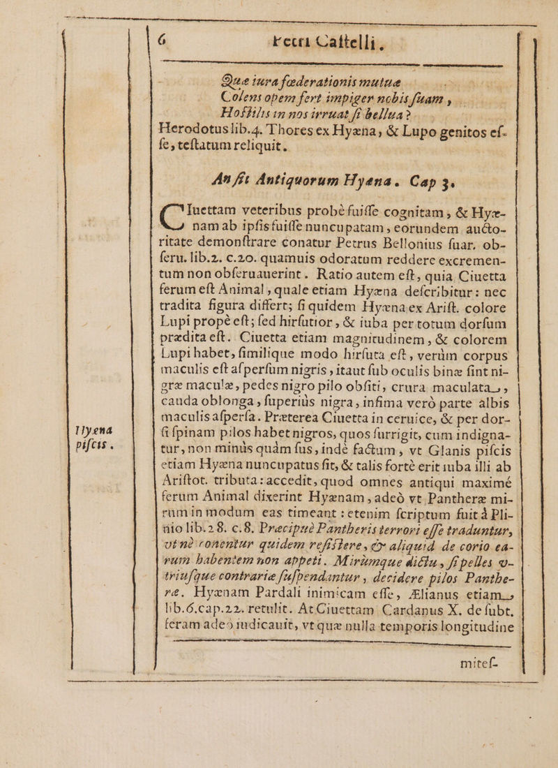 Hysna pifcis . 4 kei Caflelli, — Que iura foderationismutae 0. 5] Colens opem fert impiger nobisfaam , Hoffilis im nos ivruat ff bellua? 4.'l &amp; Lupo genitos ef. fe, teftatum reliquit. iul 4n ffi Antiquorum Hyena. Cap 3. namab ipfisfuiffe nuncupatam , eorundem. aucto- ritate demonftrare conatur Petrus Bellonius fuar, ob- fcru. lib.2. c.20. quamuis odoratum reddere excremen- tum non obferuauerint. Ratio autem eft, quia. Ciuetta ferum eft Anima! , quale etiam Hyzna defcribitur: nec tradita figura differt; fiquidem Hy:xna ex Arift. colore Lupi habet, fimilique modo hiríuta eft, verdm corpus maculis eft afperfum nigris , itaut fub oculis binz fint ni- gre macula, pedes nigro pilo obfiti, crura maculata; cauda oblonga , fuperius nigra, infima veró parte albis maculisafpería. Preterea Ciuetta in ceruice, &amp; per dor- (ifpinam pilos habet nigros, quos furrigit, cum indigna- tur,non minis quàm fus, indé fa&amp;um , vt Glanis pifcis | etiam Hyena nuncupatus fit, &amp; talis forte erit iuba illi ab Ariftot. tributa: accedit, quod omnes antiqui maximé ferum Animal dixerint Hyenam , adeó vt Pantherz mi- rum in modum eas timeant : etenim fcriptum fuit à Pli-- aio lib.2 8. c.8. Precipué Pantbevisterrvor: effe traduntur, | otnà ronentur quidem vefiflere, cv aliquid de corio ea-. vum babentem non appeti. Mirdmque dicla , fi pelles - triufque contrarie [ufpendantur , decidere pilos Pantbe- lib.6.cap.22. retulit. At Ciuettam. Cardanus X. defuübt,.- feram ade iudicautt, vt que nulla temporis longitudine som mitef- —€———