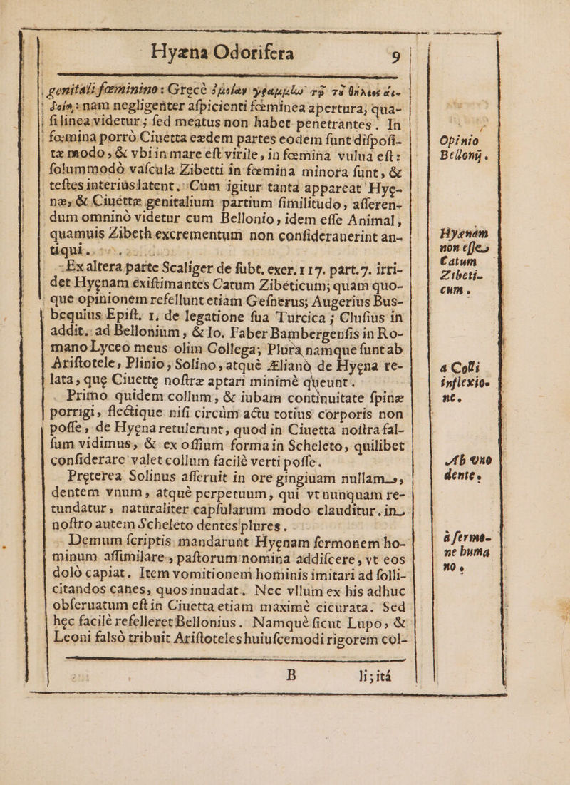 genitali fanninino : Grece duslay sydapiilr v 74 linee di- | oí»: nam negligenter afpicienti fminea apertura; qua- | filinea videtur; fed meatus non habet penetrantes. In |, focmina porro Ciuétta ezdem partes eodem funt difpofi- tz modo; &amp; vbiinmare eft virile, in foeminà vulua eft: . fotummodó vaícula Zibetti in fcemina minora funt, &amp; teftes interiuslatent.'Cum igitur tanta appareat Hyg- nz, &amp; Ciuettz genitalium partium fitilitudo , afferen- dum omninó videtur cum Bellonio, idem effe Animal , quamuis Zibeth excrementum non confiderauerint an- -Exaltera patte Scaliger de fübt, exer. 117. part.7. irri- det Hygnam exiftimantes Catum Zibéticum; quam quo- | que opinionem refellunt etiam Gefnerus; Augerius Bus- | bequius Epift. r, de legatione fua Turcica ; Clufius in | addit. ad Bellonium , &amp; Io. Faber Bambergenfis in Ro- mano Lyceo meus olim Collega; Plura namque funtab lata, que Ciuette noftre aptari minimé queunt. porrigi , fle&amp;ique nifi circüm a&amp;u totius corporis non | poffe, de Hyenaretulerunt, quod in Ciuetta noftra fal- fum vidimus, &amp; ex offium forma in Scheleto, quilibet confiderare valet collum facile verti poffe, Preterea Solinus afferuit in ore girngiuam nullam.5, dentem vnum , atqué perpetuum, qui vt nunquam re- noftro autem Scheleto dentes plures. - bd . minum affimilare-, paftorum nomina addiícere , vt eos doló capiat. Item vomitionem hominis imitari ad folli- citandos canes, quos inuadat. Nec vllum ex his adhuc obferuatum eft in Ciuetta etiam maximé cicürata; Sed hec facilé refelleret Bellonius.. Namqué ficut Lupo; &amp; B ]15 itá io Opinio Hysnam non effe, Catum 4 Colli nt. dente. nt buma n0