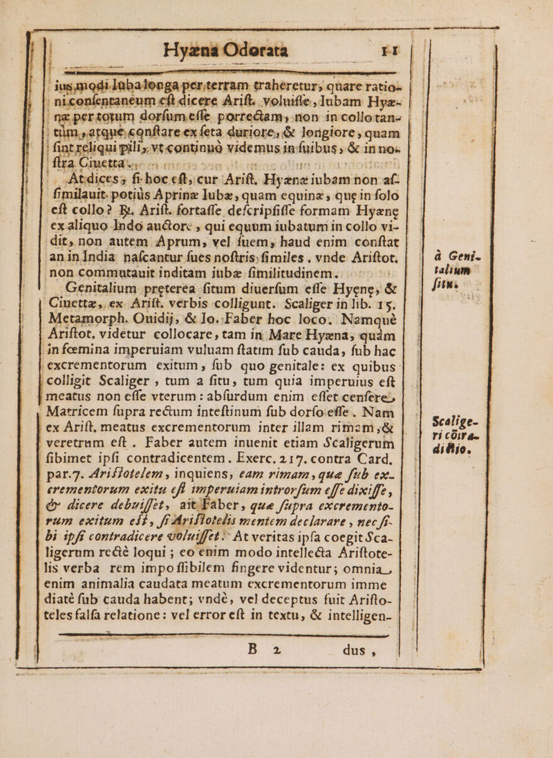| iusgnodi.Jübalonga per.terram traheretur; quare ratio- | ; niconfenraneum eft dicere Arift. voluifle, Iubam Hye- | nz per torum dorfum effe porre&amp;am non incollotan- | | tim.,atque.eonftare ex feta duriore, &amp; longiore; quam | |! fint reliqui pilis. vt continuó videmus infuibus; &amp; in no« |. .Atdices; fr hoc eft; cur Arift. Hyzne iubam non af: | fimilauit. potius Aprinz Iubz; quam equina; que in folo cft collo? B. Arift. fortaffe defcripfiffe formam Hyene | ex aliquo Indo auctore , qui equum iubatum in collo vi- dit, non autem. Áprum; vel fuem; haud enim conftat |.- aninIndia naícantur fues noftris; fimiles , vnde Ariftot. | non commutauit inditam jube fimilitudinem. hus . Genitalium preterea fitum diuerfum effe Hyene, &amp; Ciucttz, ex. Arift. verbis colligunt. Scaliger in lib. 15. Metamorph. Ouidij; &amp; Io..Faber hoc loco. Namqué Ariftot, videtur collocare, tam in Mare Hyzna,; quàm | anfceemina imperuiam vuluam ftatim fub cauda, fub hac. .excrementorum exitum , füb quo genitale: ex quibus: | colligit Scaliger ; tum a fitu, tum quia imperuius eft meatus non cffe vterum : abfurdum enim effet cenfere;- . Matricem fupra recum inteftinum fub dorío:effe. Nam ex Arift, meatus excrementorum inter illam rimam ;&amp; veretrum eft. Faber autem inuenit etiam Scaligerum | fibimet ipfi contradicentem. Exerc. 217. contra Card, par.7. Ziriffotelem , inquiens, eam rimam que fub ex- erementorum exitu efl imperuiamintrorfum effc dixiffe, Qv dicere debviffot, ait Faber, que fapra excremento- rum exitum eli, JFMci etur mentem declarare , nec ff. bi ipft contradicere voluiffet -- At veritas ipfa coegit $ca- | i » 4 M9iOofrars EE &amp;