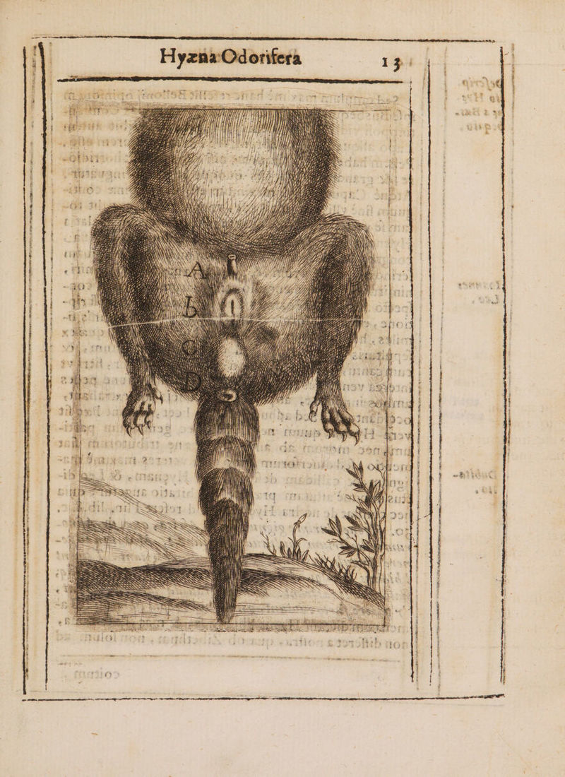 J Web pacis onm ——— — 4€ onte MIU m SOUS is i OU Ier co PUn i ait