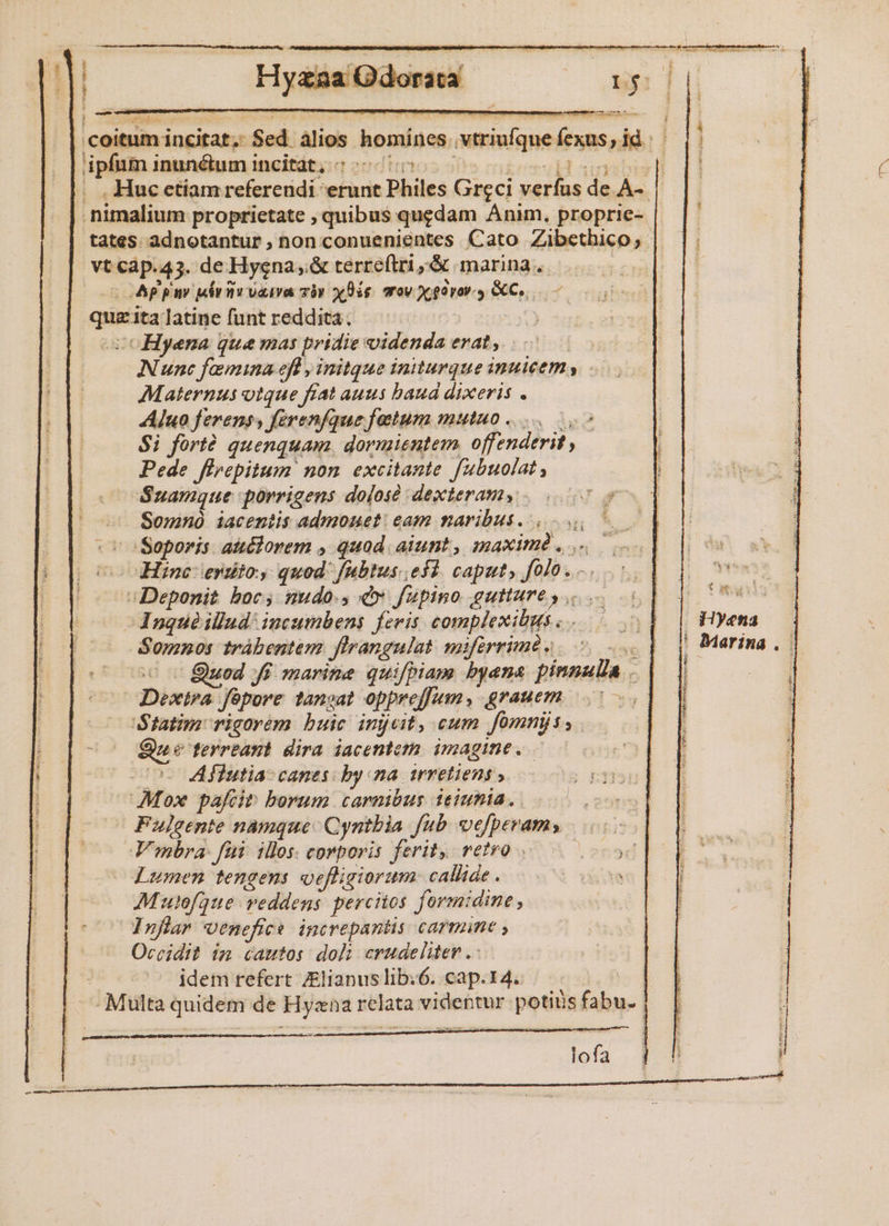 MALUS [| coitum incitat, Sed álios homines .vtriufque fe lipfitfn inunélum incitdt;:a cios o0 nov unies]: ;. Huc ctiam referendi erunt Philes Greci verfus de A-- .nimalium proprietate , quibus quedam Anim, proprie- tates adnotantur, non conuenientes Cato Zibethico; |. vt càp.45. de Hygna,.&amp; terre(tri ,&amp; marina. t | Ap pav jirivvaiva zb» xDis mov Xxgdrar y XC, 0 0o quz ita latine funt reddita. ) ocoHyena que mas pridie videnda erat, Nunc famina efl , initque initurque inuieem , Maternus otque fiat auus baud dixeris . Aluo ferens, feren/que fatum mutuo... Si fortó quenquam, dormientem. offenderit , Pede firepitum non excitante fubuolat ; Suamque porrigens doloso dexteramy . 5 9 — Somn iacentis admonet: eam naribus. 4 Soporis auélorem , quod. aiunt, maxime... — co Hinc erdto, quod fubtus efl. caput, folo... ;Deponit boc; nudo. c» fupino gutture s... - Ingqué illud: incumbens feris complexibus...—. Somos trábentem flrangulat mifirrimds 5 Dextra fepore tansat opprejfum, grauem. 5s Statim: rigorem. buic injecit, cum fómnjs; Que terrtant dira iacentem imagine. — Co. Aflutias canes by:na irretiens ». Mox pafcit. borum carnibus ieiunia. T - Fuleente namque. Cyntbia fub. vefperams |... JY'mbra: fii illos. corporis ferit retro. sc Lumen tengens oefligiorum: callide . TS Mutofque veddens. percitos formidine , ^00 Udsflar oenefice. increpantis carmine , Occidit im cautos doli crudeliter . idem refert Zlianuslib:6. cap.14. Multa quidem de Hyzna relata videntur potiüs fabu. lofa *T^WN ^