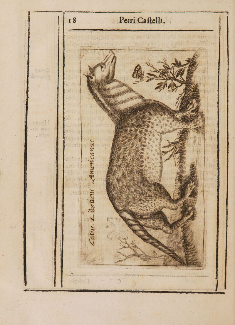 - ALL. Dem epe weite ict tai ie ene