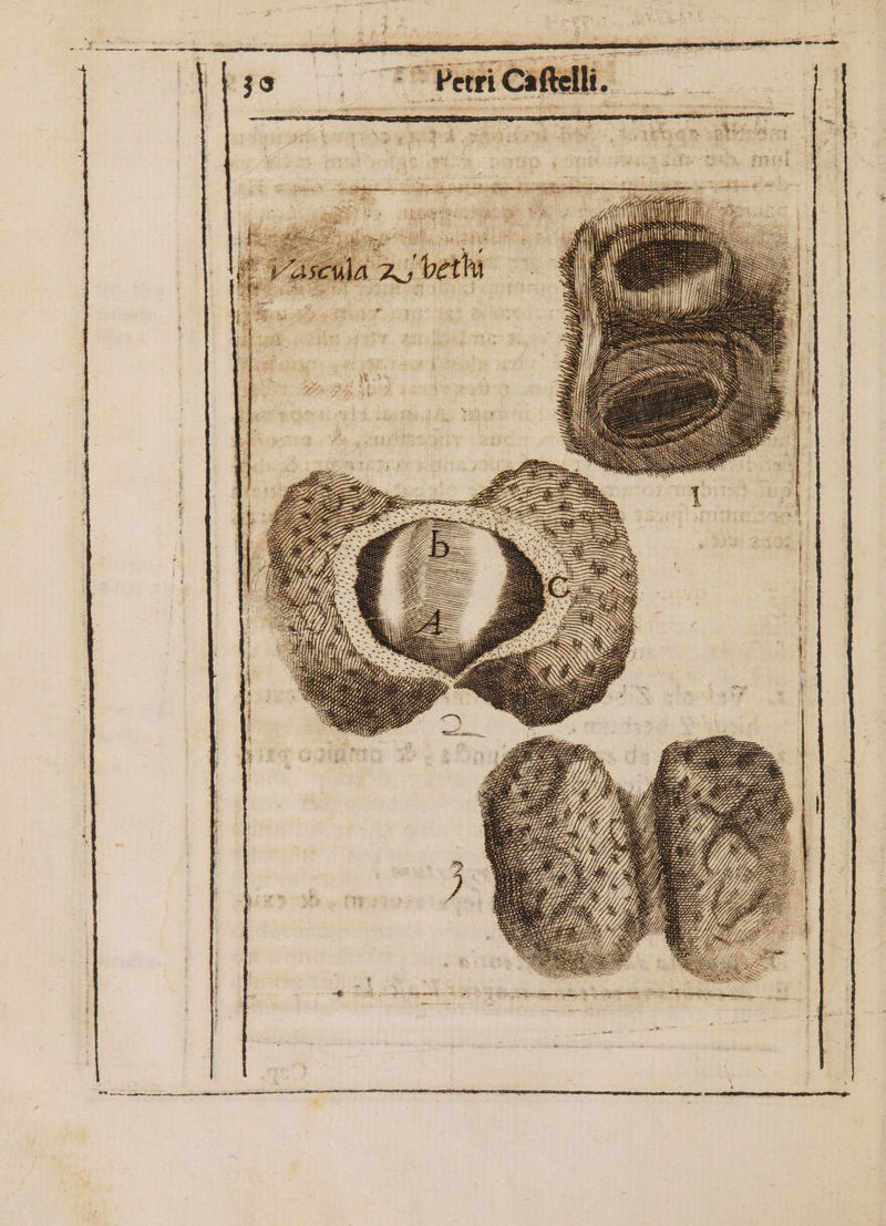 GEnLl GTREREDUZSAO NATU nARyL- V emRGUmueec m m Wut ap lil CRI Á 22) E aW? SN &amp; Ne iw NNI M SS M à NS  tn AU ERANT NR RUN RAN SS RSV c9 c —M ATQ Lm rea tm rr cta rae rtm a igit mene