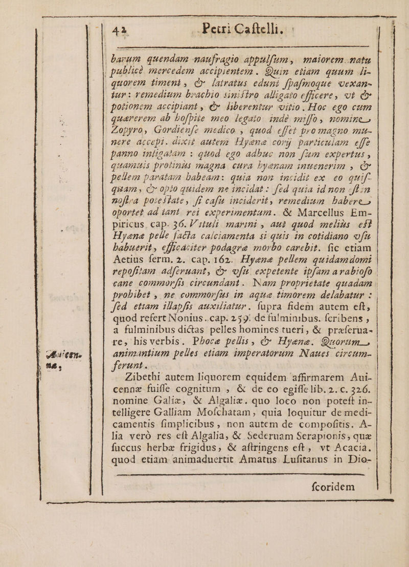 (AX vPeuiGafielli, barum. quendam -maufragio appulfum, maiorem .matu | publicó mercedem. accipienteya . Quin. etiam quum i- quorem timeni, d» latratus eduni fpafmoque vexan- iur: renedium brachio sinifiro alligato efficere, t dx | porcionem accipiant , ey. liberentur vitio. Hoc ego cum quarerem ab bofbiie meo legato. inde sffo, momine Zopyro, Gordienfo medico. , quod effet promagno mmu- nere accepi. dixit autega. Hyenae corg parneulam effe pauno inligalam : quod ego adbuc non fum expertus , quamuis protinas magna cuva byenam inuenerim , Cx pellem paratam babeam: quia nom imcidib ex eo quif- quam, C opio quidem ne incidat : fed quia id non «flin noflea poieilate, ff cafu inciderit, remedium babere, oportet ad iant. vei experimentum. &amp; Marcellus Em- piricus, cap. 36. V ziuíi. marini , au» quod melizs efl Hyene pelle facla calciamenta si quis im cotidiano ofa babuerit, efficaciter podagre morbo carebit. fic etiam Aetius ferm. 2. cap. 162. Hyena pellem quidamdomi | repofitam adferuant, c vfu. expetente ipfam arvabiofóo | cane commorfis circundant.. Nam proprietate quadam ; probibet , ne commorfaus in aque timorem delabatur : fed ettam illapfis auxiliatur. fupra fidem autem eft, quod refert Nonius ..cap. 259: de fu!minibus. fcribens , a fulminibus dictas pelles homines tueri, &amp; praferua- | re, hisverbis. Pboce pelis, c» Hyene. Quoram animantium pelles etiam. imperatorum Naues. circum- ferunt... [ Zibethi autem liquorem equidem affirmarem | Aui- cenna fuifle cognitum , &amp; de eo cgiffe lib. 2. c. 3226. nomine Galie, &amp; Algaliz. quo loco non poteft in- | telligere Galliam Mofchatam quia loquitur de medi- camentis fimplicibus, non autem de compofitis. À- lia veró res eft Algalia, &amp; Sederuam Serapionis, que fuccus herbz frigidus, &amp; aflringens eft, vt Acacia. quod etiam animaduertit Amatus Lufitanus in. Dio- — fcoridem