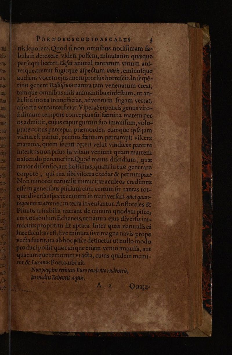 itis leporem.Quod finon omnibus notiffimat fa- bulam detexere videri poflem, minutatim queque ¡perfequi liceret. Elefas animal tantarum virium ani- miquestremit fugitque afpectum sur», eminufque audiens vocem ejus;metu prorfus horrefcit.In ferpé- tino genere Bfilifeum natura tam venenatum crear, tamque omnibus aliis animantibus infeftum, ut an- * helitu (uo ea tremefaciat, adventuin fugam vertat, im | y afpe&amp;ta vero interficiat. ViperaSerpentis genus viro- ni, | v fiffimum tempore conceptus fui femina marem per inio | ^ osadmittit, cujus caput gutturi fuo immiffüm,volu- |! ptáte coitus percepta, premotrder, cumque ipfa jam mo | vicinaeft partui, primus fztuum perrumpit vifcera 1nd] &amp;ematerna, quem fecuti ceteri velut vindices paterni diti] Rrinteritus non prius in vitam yeniunt quam matrem uy e nafcendo peremerint.Quod maius difeidium , que im B maior diflenfio,aut hoftilitas,quamin tuo génerare pcorpore , qui tua tibivifcera exedat &amp; perrumpate “¿Non minores naturalis inimicitiz aculeos credimus &amp; elle in generibus pifcium cum certumfit tantas tot- $ que diverfas fpecies eorum in mari verfari, quot quan- lil Paquenecin atre nec in tetta inveniantur. Ariftoteles 8c ale] E Plinius mirabilia narrant de mínuto quodam pifce, Hr , | cuivocabulum Echeneis,ut natura ejus diverfis ini- pole ' V mmicitiis propritim fit aptata. Inter quas naturalis ei qid hacfacultas eftfive minuta five magna navis prope silla vecta fueritita ab hoc pifce detinetur ut nullo modo jj Eproduci poffit quocunqueetiam vento impulía, aut gin e quacumque remorum vi ata, cuius quidem memi- ss) c fit &amp; Lucanus Poétajubi ait. M Non puppiti vetinens Euro tendente vudenteiz, as