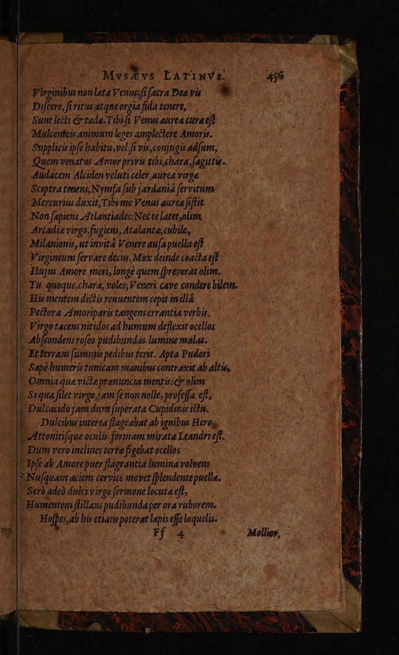 Virginibus nonleta Venus fi facraDeevis — 0 * Diftere, fi ritus atqne orgia fida tenere, *' Sunt lecti O tada.Tibift Venus aurea curae] Mulcenteis animum leoes ampleitere Amoris. Supplicis ipfe habstu>vel,fi vis,conjugis adfum, tein venatus Amor privis tibi ebara,(agutu.. Audacem Alden veluti celer aurea virge Sceptra tenens, Nymfa [ub jardanta fervitum. » Mercurius duxit, Tibime Venus aurea fiflit X Non fapiens Atlantiades:Nec te Latetolim. E Arcadievirgo fugiens, Atalanta;cubile, ^ Milanionis, ut invita Venere au(apuellaeft | Virgineum fervare decus, Mox deinde coatta eft e Hugus Amore mers, longe quem (preverat olim. | Tw quoque,chara, voles, Veneri cave condere bilem. ' His mentem diébis renuentem cepit esla: E pedira d moriparis tangens ervantia verbis. - Virgo tacens nitidos ad humum deflexit ocellos:  Mbfeondens rofeo pudibundas lumine malas. t Etterram [umais pedibus terit. Apta Pudori toSape bumeris tunicam manibus contraxst Ab altis, - Omniaquevicia prenuncia mentis: c olim. — Si qua filet virgo,j am fe non nolle, profefía eff; | Dalcacido jam dum fuperata Cupidinis ttn. E. Dulabus iterea flagrabat ab 1gnibus Heros P Attonitifque oculis formam mirata Leandri ef. Dim vero inclines terra figabat ocellos ! Ipfe ab Amorepuer flagrantia lumina volvens. EN quam aciem cervice movet [plendente puella. |. Sero adeo diei virgo fermone locuta eft,  Humenten [hllans pudibundaper ora ruborem. Hojpes,ab his etiaum poterat lapis effe loquelis.