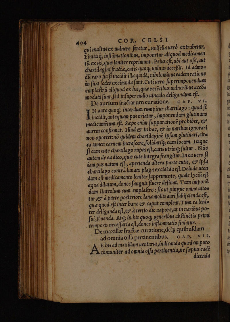 qui muli ex uulnere feretur , uolfella weró' extrabetur, tinitisq; inflamationibus, impornetur aliquod medicamen ti ex ijs, que leniter reprimunt . Peius cft,ubi aut offi, dut chartilagini fracte,cutis quod; uulnus accefit. 1d admoz dii raro fit:fi incidit illa quid, nibilominus eadem rdtione in fuds fedes excitinda [unt. Cuti uero fuperimponendum emplasiri aliquod ex bis, que vecétibus uulncribus accoa modata [unt,fed infuper nullo uinculo deligandum eft. Deauríumfra&arum curatione, c AP. VI: N aure quoq; interdum rumpitur chartilago : quod fi incidit,antequam pus oriatur , imponendum glutinans medicamétum eft. Sepe enim fuppurationé probibet, e aurem confirmat. 1llud e» in bac, e in naribus ignorari non oportet:no quidem cbartilaginé ipfam glutinari,cira cá timen carnem increfcere,folidariq; eum locum. 124que fi cum cute chartilago rupta efl,cutis utrinq; fuitur . Nue atitem de e4 dico, que cute integra frangitur.1n ea uero f jam pus natum eft , aperienda altera parte cutis, ex ipfa cbartilago contrà lunata plaga excidéda eft.Deinde uten dum eft medicamento leniter upprimente, quale Lyciu eft aqua dilutum, donec fanguis fluere definat. Tum imponé dum linteolum cum emplastro : fic ut pingue omne uita ture à parte posteriore lana mollis auri fubijcienda et, que quod eft inter banc e caput compleat, T um ca lenis ter deliganda efl,es à tertio die wapore,ut in naribus po- fui, fouenda. Atq; in bis quoq; generibus abslinétia primi temporis nece[Jaria eft, donec inflammatio finiatur. De maxilla fractae curatione,decg quibufdam adomníaoffa pertinentibus, c AP. VIF. ( A bis ad maxillam uenturus,indicanda quedam puto comuniter ad omnia ofJa pertinentiasue fepius eadé .. dicendd