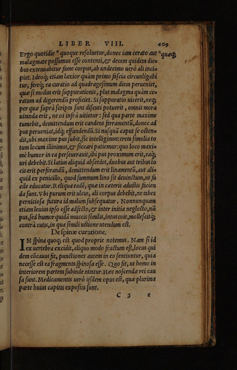 Aa — wu» Cams —wU7 Kw» malagmate pofJumus efJe contenti; decem quidem dies bus extennabitur fame corpus,ab undecimo uero ali incia pict. 1deo; etiam laxior quàm primo fafcia circunligabi tur, fered; ea curatio ad quadragefimum diem perueniet, que fi modus erit fuppurationis , plus malagma quàm cea ratum ad digerendi proficiet. Si [uppuratio uicerit,neq; per que fuprà fcripta funt difeuti potuerit , omnis mora uitanda erit , neos infrà uitietur : fed qua parte maxime tumebit, denittendwm erit candens ferramenti, donec ad pus perueniat,idq; effundendu.Si nufquá caput fe ostena dit,ubi maxime pus fubit, fic intelligimus; creta fimolia to twm locum illinimus, e? ficcari patiemur:quo loco maxiz «té bumor in ca perfeucrauit,ibi pus proximum erit,ead; uri debebit.Si latius aliquid ab[cedet, duobus aut tribusio cis erit perforandu , demittendum erit linamentusaut alis quid ex penicillo, quod fummum lino fit deuinctum,ut fa cile educatur.R eliqua eade, que in ceteris adustis facien da funt. v bi purum erit ulcus, ali corpus debebit,nc tabes perniciofa futura id malum fubfequatur . Nonnunquam etiam leuius ipfo offe adfecto,ez inter initia neglecto;no pus. fed humor quidá mauccis fimilis, intus coit mollefcitq; contrá cutisin qua fimili utione utendum est, Defpiínze curatione, ] N fpina quoq; est quod proprie notemws, Nam fi id ex uertebra excidit,aliquo modo fractum eJL,locus qui dem cocauus fit, punctiones autem in eo fentiuntur, quia nece[Je est ea fragmenta fbinofa e[Je . Quo fit, ut bomo is interiorem partem [ubinde nitatur. Hec nofcende rci cau fa funt. medicamentis uero ijfdem opus e$t, que plurima parte buius capitis expofuia [unt C.3 €