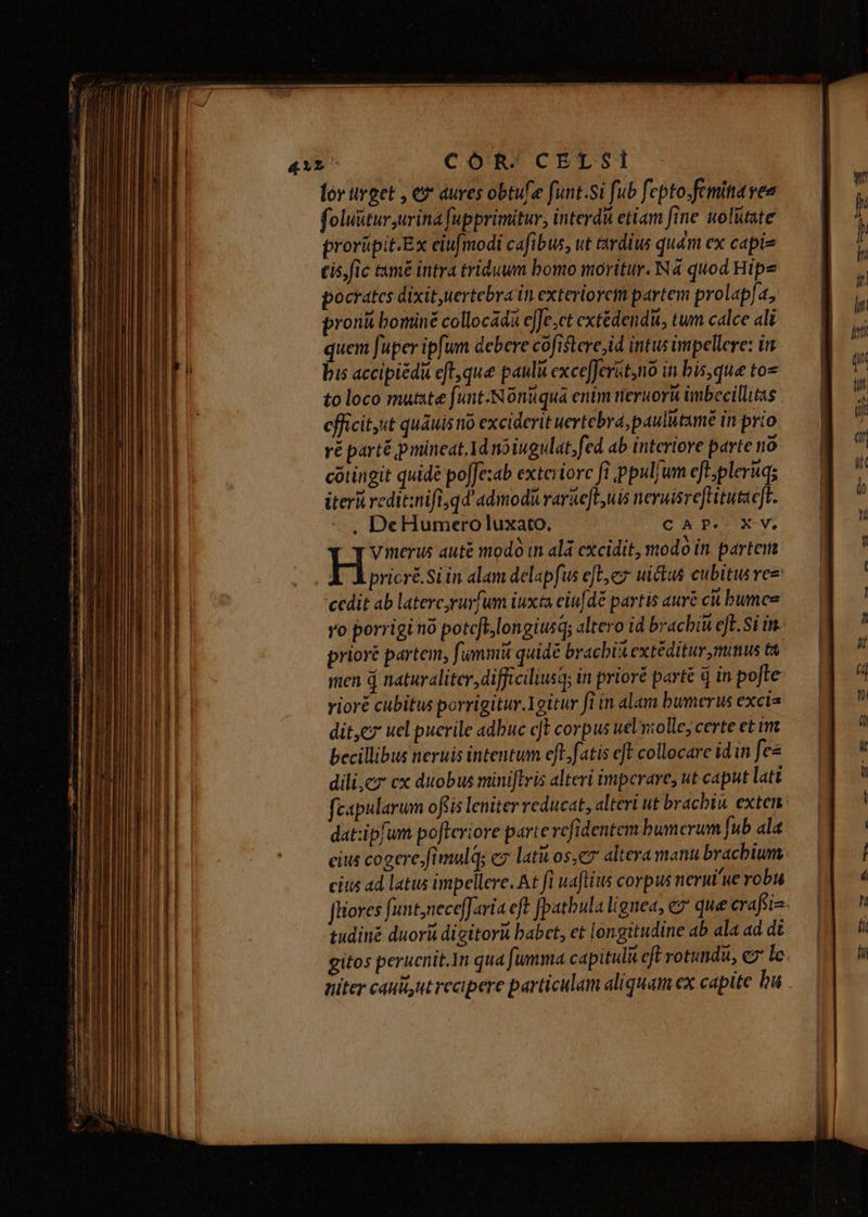 lorurget , e aures obtufe funt.si fub fepto.femita vea foluütur urina fupprimitur, interdà etiam fine uolütate prorüpitEx eiufmodi cafibus, ut ttrdius quàm ex capis tis, fic tamé intra triduum bomo moritur. Na quod Hipe pocratcs dixit uertebra in exteriorcim partem prolap[a, pror bominé collocadà eJe.ct extédendii, tum calce ali quem [uper ipfum debere cofistere,id intus impellere: ir bis accipiédu cft, que pauli excefferét,no in bis,que to» to loco mutte funt-Nónuquá enim tieruorü imbecillitas cfficit;t quauis no exciderit uertebra,paulutamé in prio ré parté pmineat.Idnoiugulat, fed ab interiore parte no cótingit quide poJJezab exteriore fi ppuljum eft;pleruqs iter redit:nifi,qd admodurarkeftyuis neruisreftitutaeft. -—, DeHumero luxato, CAP. XV, q vmerus auté modà in alá excidit, modo in partem H pricré.Si in alam delapfus efte uictus cubitus ee cedit ab latercyrurfum iuxta ciufdé partis auré cii bumee yo porrigi nó potcft, longius; altero id brachiu eft. Si in. prioré partem, fümmi quidé brachia extéditur mimus ta. men d naturaliter, difficiliust; in prioré partt à in pofte rioré cubitus porrigitur Ygitur fi in alam bumerus excis dit,c ucl puerile adbuc cft corpus uel'miolle; certe et im becillibus neruis intentum efl.fatis eft collocarc idin fes dili,cz cx duobus miniftlris alteri imperare, ut caput lati fcapularum oftis leniter reducat, alteri ut bracbin. exten dat:ipfum pofteriore parte rcfidentem bumerum fub ala cius cogere.fimulq; c7 lati os,e* altera manu bracbium cius ad latus impellere. At fi uaflius corpus nerui'ue vobu Jliores funt,necefaria eft [patbula lignea, c que craft tudiné duori digitorii babet, ct longitudine ab ala ad d£ gitos perucnit.In qua fumma capitula eft rotundi, ey le. niter caui,ut recipere particulam aliquam ex capite bu .