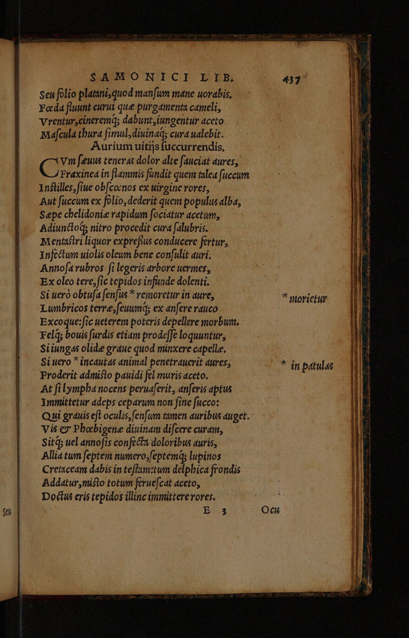 Sen folio platani,quod manfum mane uorabis, Foda fluunt curii que purgamenta cameli, vrentur,cineremq; dabunt,iungentur aceto mafcula thura fimul,diuinad; cura ualebit. Auríum uítijs fuccurrendis, (t fuus teneras dolor alte fauciat aues, Frdxinea in flammis fundit quem talea fuccum 1nfstilles, fiue obfcocnos ex wirgine rores, - Aut fuccum ex folio, dederit quem populus alba, Sepe chelidonie rapidum fociatur acetum, AdiunctoG nitro procedit cura falubris. Mentastri liquor exprefeus conducere fertur, infectum uiolis olewn bene confulit auri. Annofa rubros. fi legeris arbore uermes, Ex oleo tere, fic tepidos infunde dolenti. Si uero obtufa fenfus * vemoretur in aure, Lunbricos terre, feuumd; ex anfere rauco Excoque:fic ueterem poteris depellere morbum, Feld; bouis furdis etiam prodefJe loquuntur, Siiungas olide graue quod minxere capelle. Si uero ^ incautas animal penetrauerit aures; Proderit admisto pauidi fel muris aceto. At fi lympba nocens peruafevit, anferis aptus Yminüttetur adeps ceparum non fine fucco: Qui grauis eft oculis fenfum tamen auribus auget. Vis c2 Phocbigene diuinam difcere curam, Sitd; uel annofis confecta doloribus auris, Alliatum feptem numero.;feptemq; lupiios Creticeam dabis in teffam:twm delphica frondis Addatur misto totum ferue[cat aceto, Dod eris tepidos illinc immittere vores. Y E 35 * morietur * in patulas