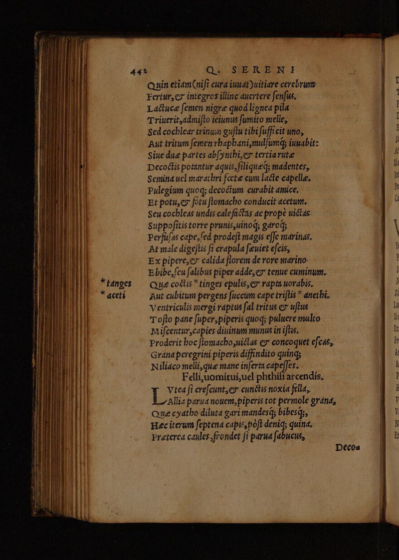 Quin etiamCifi cura iuuat)uitiare cerebruvs Fertur, cz integros illinc auertere fenfus. Lactuce femen nigre quod lignea pila T riuerit,admijto ieiunus fumito melle, Sed cochlear trinuia guftu tibi fufficit uno, Aut tritum femen vhapbani,mul|umq; iugabit: Siue due pártes ab(yntbi,cz tertiarute Decoétis potantur aquis, filiqueq; madentes, Semina uel maratbri focte ewm lacte capelle. Pulegium quoq; decoctum curabit amice. Et potuscz fotu flomacbo conducit acetum, Seu cochleas undis calefactas ac prope uictas Suppofitis torre prunis,uinoq; garcd; Perfüías cape;fed prodeft magis effe marinas. At male digejlis fi crapula f'euiet efcis, Ex pipere,c calida florem de rore marino: Ebibe,feu falibus piper adde, ex tenue cuminum.. Qué coctis tinges epulis,ez rapta worabis. Aut cibitun pergens [uccum cape triftis * anetbi. ventriculi uergi raptus fal tritus ez uftus T oflo pane fuper,piperis quoq; puluere multo Mifcentur,capies disimum munus in ifus. Proderit boc ftomacho uittas e concoquet efcat,, Granaperegrini piperis diffindito quinqs Nili4co melli,que mane inferta capefJes. Fellijuomítui,uel phthift arcendís, Vtea fi crefcunt,ez: cunctis noxia fella, Allia parua nouem,piperis tot permole evan, Que cyatbo diluta gari mandesq; bibesqs, Hec iterum feptena capis, poft deniq; quina. Preterea canes frondet fi parua fabucus,