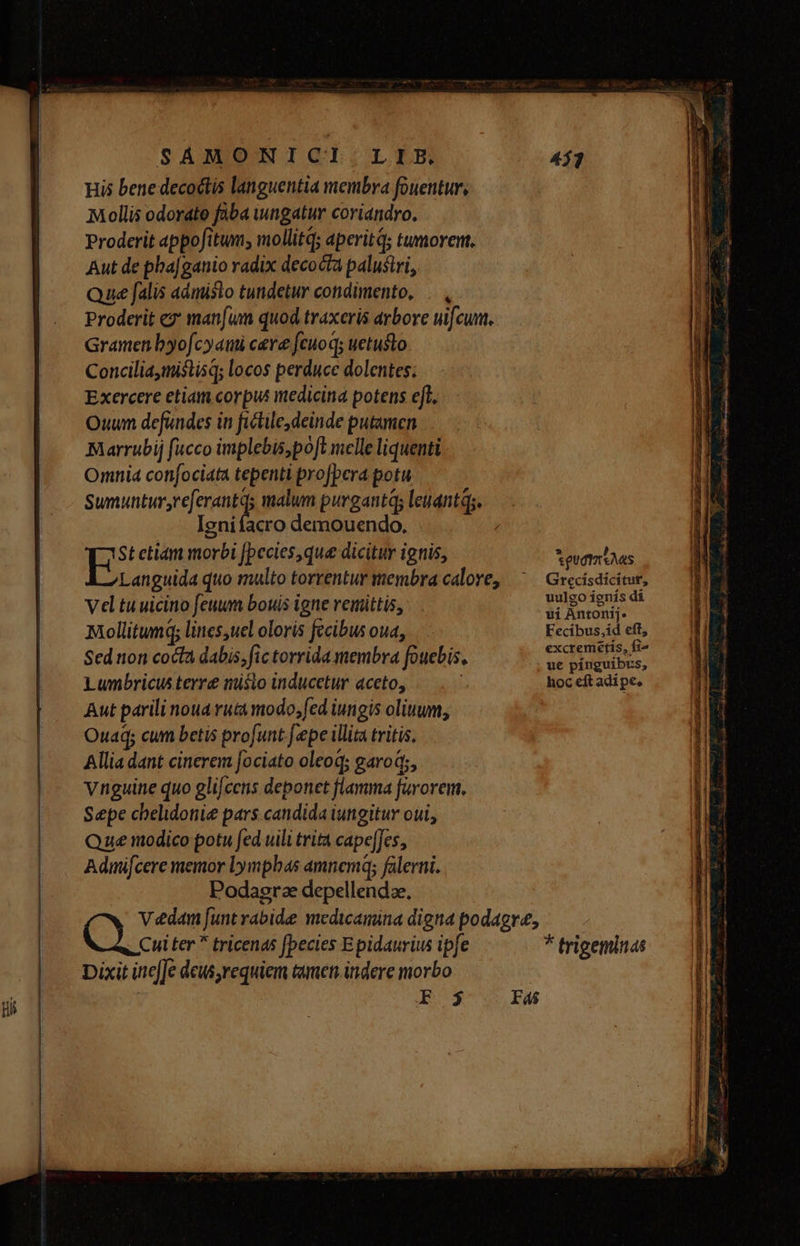 uis bene decoctis languentia membra fouentur, :Mollis odorate faba iungatur coriandro. Proderit appofitum, mollitq; aperitd; tumorent, Aut de pha[ganio radix decocta palusiri, Que falis admislo tundetur condimento, Proderit ez* man[um quod traxeris arbore uifcum, Gramen byofcyaui cere fcuoq; uetusto Conciliamistisd; locos perducc dolentes. Exercere etiam corpus medicina potens eft, Ouwm defundes in fictile, deinde putamen Marrubij fucco implebis,po[t melle liquenti Omnia confociata tepenti profbera potu Sumintyrte M malum purgant; leuantqg. a Ignifacro demouendo., E St ctiam morbi [pecies,que dicitur ignis, Auot Das Languida quo malto torrentur membra calore, ^ — Grecisdicitur, ge 7T T uulgo ígnis di Vel tu uicino Jeuum bouis igne remittis, $i Anronij. Mollitumq; lines,uel oloris fecibus oua, Fecibus,id eft Sed non cocta dabis, fic torrida membra fouebis., oe Dhiioibos: Lumbricus terre misto inducetur aceto, hoc eft adi pe, Aut parili noua vu&amp;t modo,fed iungis oliuwm, Ouad; cum betis profunt [epe illita tritis. Allia dant cinerem fociato oleoq; garod;, vnguine quo glifcens deponet flamma favorem. Sepe chelidonie pars candida iungitur oui, Que modico potu fed uili trita cape[Jes, Admifcere memor Lympbas amnem; falerni. Podagra depellenda. Vedam funt rabide medicamina digna podagre, Cui ter  tricenas [becies Epidaurius ipfe * trigeminas Dixit inc[Je deus,requiem tamen indere morbo j| Rs Fas