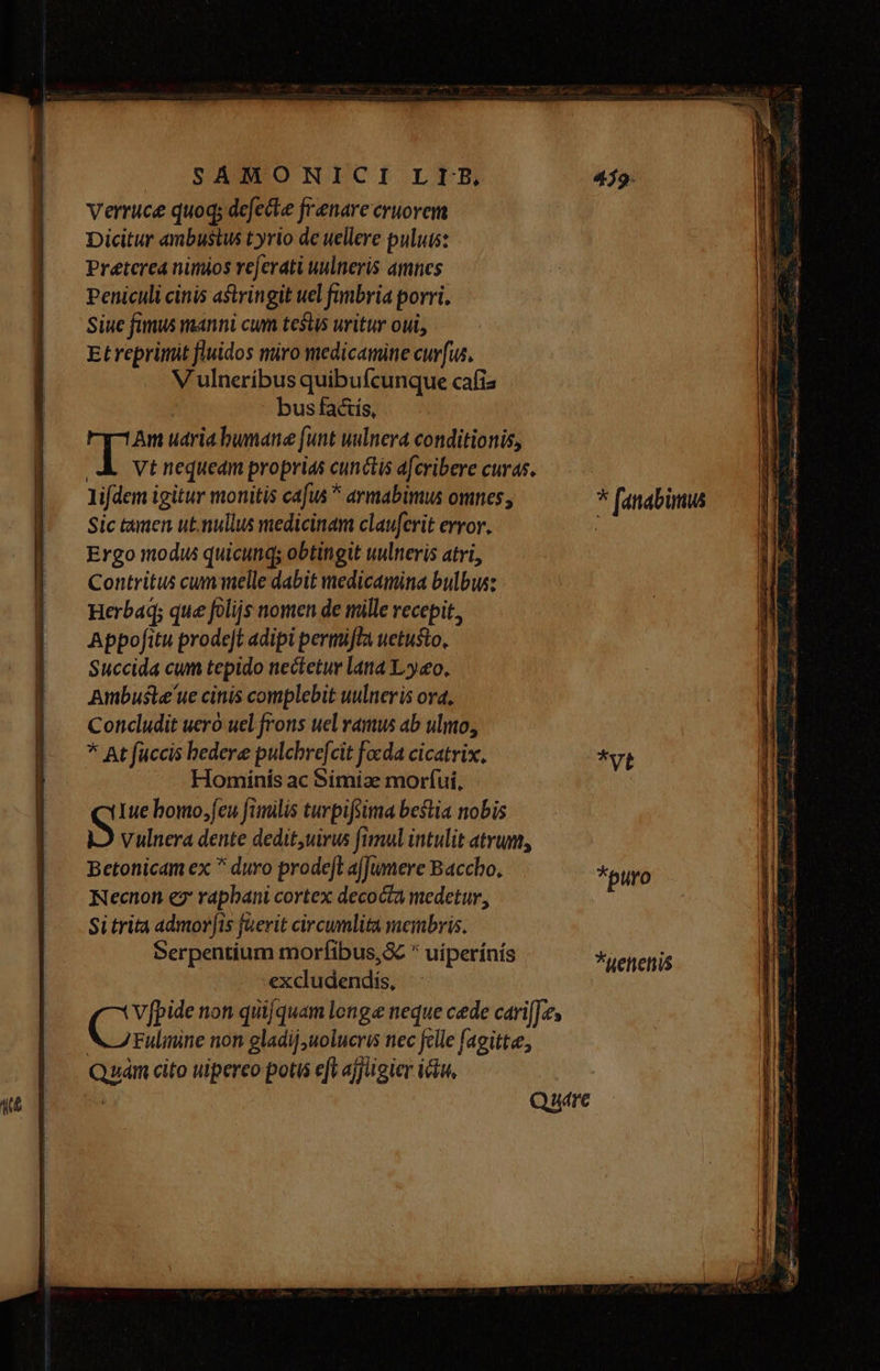 Verruce quoq; defecte frenare cruorem Dicitur ambustus t yrio de uellere puluis: Preterea nimios re[erati uulneris amnes Peniculi cinis astringit uel fimbria porri. Siue fimus manni cum tesus uritur oui, Et reprimit fluidos miro medicamine curfus, V ulneríbus quibufcunque cafis | bus facis, T Am uariabwnane funt wilnera conditionis, Vt nequeam proprias cunctis afcribere curas. lifdem igitur monitis cafus ^ armabimus omnes, Sic tamen ut.mullus medicinam clauferit error. Ergo modis quicunqs obtingit uulneris atri, Contritus cum melle dabit medicamina bulbus: Herbaq; que folijs nomen de mille recepit, Appofitu prode]t adipi permifla uetusto, Succida cum tepido nectetur lana Lyeo, Ambuste ue cinis complebit uulneris ora, Concludit uero uel frons uel ramus ab ulmo, * At füccis hedere pulchre[cit focda cicatrix, Hominís ac Simiae morfui, Iue bomo,feu fimilis turpifsima bestia nobis Vulnera dente dedit,uirus fimul intulit atrum, Betonicam ex * duro prodeft ajJumere Baccho, Necnon e? rapbani cortex decocta medetur, Si trita admoris faerit circumlita membris. Serpentium morfibus,S  uíperínís excludendis, Cn non quifquam longe neque cede cariffe, Fulinine non gladij,uolucris nec felle faeitte, Quam cito uipereo potis eft ajfügier ictu, i *puro *Henenis