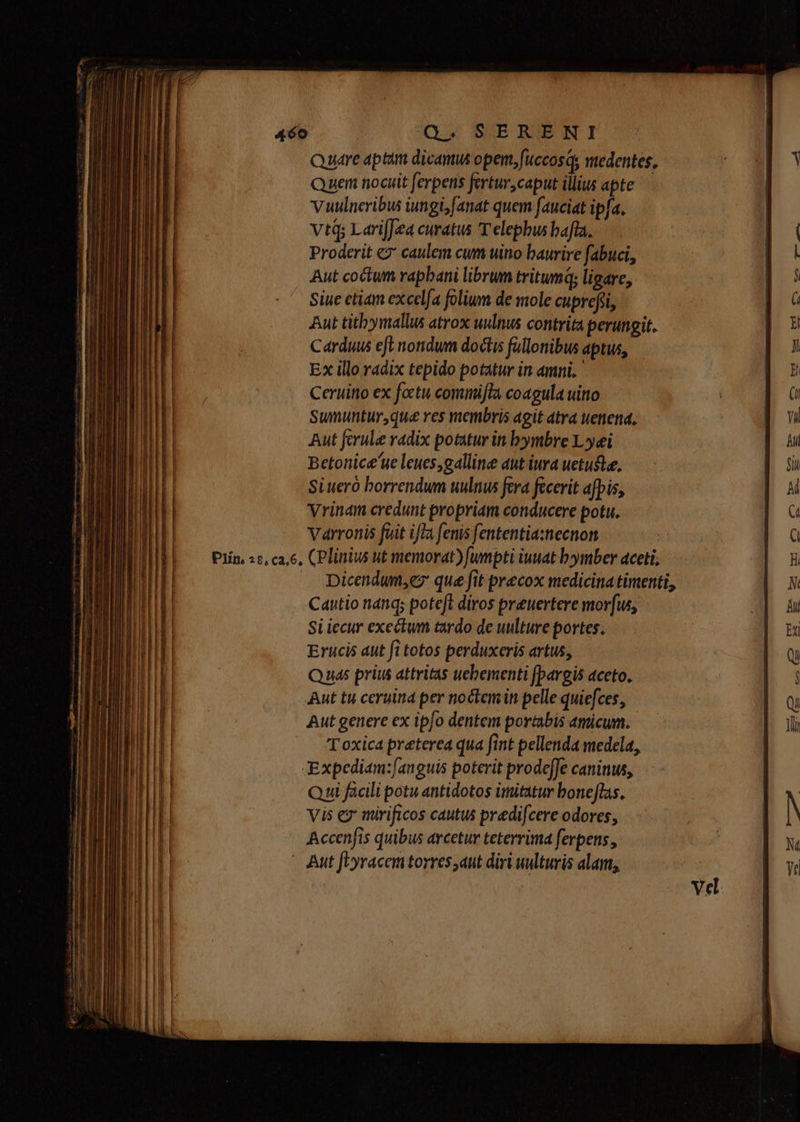 Qudre aptim dicamus opem, fuccosqs medentes, Quen nocuit ferpens fertur,caput illius apte Vuulneribus iungifanat quem fauciat ipfa. vtd Lari[J'ea curatus T'elepbus bafla. Proderit €? caulem cum uino baurire fabuci, Aut coctum rapbani librum tritumq; ligare, Siue etiam excelfa folium de mole cuprefii, Aut tithbymallus atrox uulnus contrita perungit. Carduus eft nondum doctis fullonibus aptus, Ex illo radix tepido potatur in amni. Ceruitio ex foctu comitifla coagula uitto Sumuntur,que res membris agit atra uenena, Aut ferule radix potatur in bymbre Lei Betonice'ue leues,galline aut iura uetufte, Si uero borrendum uulnus fera fecerit afpis, Vrinam credunt propriam conducere potu. Varronis fuit ifl fenis fententiasnecnon Plín, «6, ca,6, CPlinius ut memorat) fumpti iuuat bymber aceti; Dicendum,ez que fit precox medicinatimenti, Cautio nanqs poteft diros prewertere mor[us, Si iecur exectum tardo de uultire portes. Erucis aut fi totos perduxeris artus, Quas prius attritas uebementi [pargis aceto. Aut tu ceruind per noctem in pelle quiefces, Aut genere ex ipfo dentem portabis amicum. TT oxica preterea qua fint pellenda medela, XExpediam:[anguis poterit prode[Je caninus, Qui facili potu antidotos imitatur bone[flas. Vis ez mirificos cautus predifcere odores, Accenfis quibus arcetur teterrima ferpens , - Aut fLyracemtorres,aut diri wulturis alan,