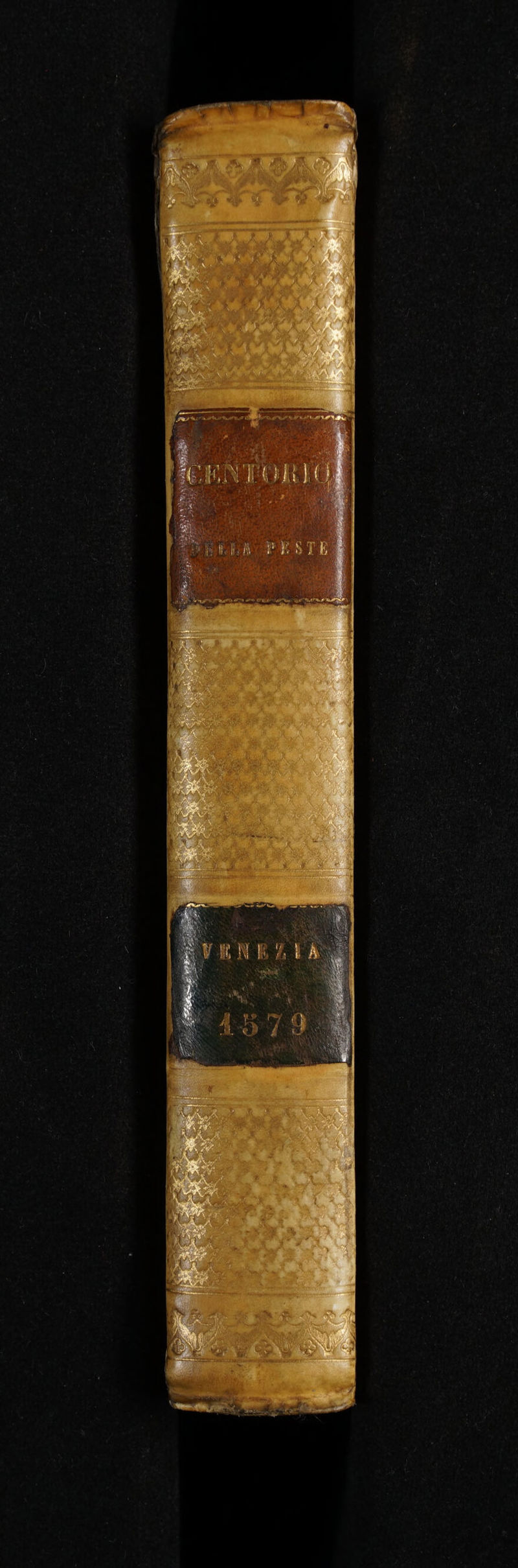 No text description is available for this image