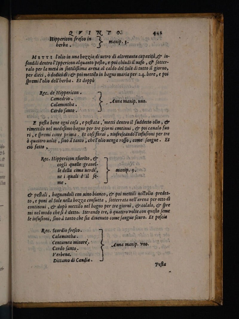 MM E ———— MÀ MÀ À—— MÀ e è i I NT 0 443 -Mippericon frefco in. L tti Si ea vm pas Sie «ia dh  pA SANIR mer fondili dentro l'Ippericon alquanto pefo; e-poi chiudi il uafo , &amp; fotter- ralo per la metà in fottiliflima arena al caldo del Sole di tutto il giorno, per dieci , ò dodicid?:<&amp; poi mettilo in bagno maria per 2.4. bore , e poi [premi l'olio dell'herba. Et doppò Rec. de Hippericon è 4 Camedrio w = Calamintha è Cardo fanto . , Anna manip. uno. E pefta bene ogni cofa , e peftata metti dentro il fuddetto olio , c rimettilo nel mede[imo bagno per tre giorni continui , &amp; poi caualo fuo ri , c (premi come prima. £t cofi farai , vinfre]cando'liufu[ioni per tre ò quattro uolie , fino d tanto , cbel'olio uenga roffo , come fangue. Et ciò fatto , o s i , gira | Rec. Hippericon.sforito , e | cogli quelle igranel- id yt ih le della cima uerdi', manip. MESSO: ne i.quali\é <il fe- Adasi p me è &amp; peftali , bagnandoli con uino bianco , &amp; poi mettili nell'olio predet- to se poni al Sole nella bozza confueta , fotterrata nell'arena per otto dì continoui , e dopò mettilo nel bagno per tre giorni , &amp;*colalo, &amp; [pre mi nel modo cbe fi è detto: Iterando tre, ò quattro volte con quefto feme le infufioni, fino à tanto che fia diuenuto come fangue feuro. Et pofcia Rec. Scordio frefco. | © Calamintha- | q Centumea minore. ` 69d aging. sudo Cardo fato. © Anna manip. vino. Verbena, = S Dittamo di Candia. -3
