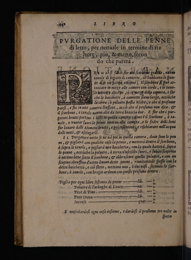 «443 ERO HAM XR AT LLUTERTCL LR APTES Pet Eredi ah E | PVRGATIONE ‘DELLE. PENNE. E diletto; per riettarle in termineditre | | too &amp;hereyipun Semeno decon 5 è ud Hbi s oec Kee o. SE, SUD aA REA, QUIT o M Bigi DATEN SS do che parera. ~ LT, ds oido, A Ri m ARE fallas far siti. (corbohe grdnde , oeio tauole di bigatti di cannette , ch'habbiano le [pon- de dite upaliiò attorno è 1 repe at- ESSA! taccare in mezo alle camere con corde , e le tauo- es E ‘le nettere attottio pò i mez della camera, e far S E SI chele bacchette , 0 cannette fiano large, acciòche pr a I5 térra. ò poluerepoRfa v[cire''e che il profume pasfi , e fia in una camera Stuffata , acciò che il profumo non efca . e il fcorbone , € tauole uanno alte da terra braccia due. E far chei pur- | gatori brutti portino i léttiin quella camera doune è il fcorbone , ò ta- | nole , e vuotar fuori le penne intorno alla camera se le fodre delli letti | far lanare dalli Monattibrutti , e poi refentarez.e rifchiarare nell'acqua dalli netti, &amp; afciugarli. i A 2 T 1 L Purgatore netto fe ne ud poi in quella camera , done fono le pen ne, pigliara con qualche cofa la penna , € mettera dentro il fcorbone, | à fopra le tauole , e pigliarà una bacchetta y conda quale batterd.fopra | — le penne acciòchela poluere , ò terra n'ufcifchi fuori., e Subito fcoprino — à nettino bene fotto; il [corbone ; ez abbrufcino quella poluere, e con.un fcopino sbruffino d'aceto buono dette penne , riuoltandole fpeffo con la dettá baccherta , e ciò fatto , mettano uno., ò dui uafi , fecondo lo fcor- bone , 0 tauole , con bragie ardenti con quefti profumi dentro . i ‘Piglia per ogni libre feffanta di penne — lib, Sr m | T Poluere di l'orbagbe di Lauro — ONE SR ooi | | Pece di Pino. ————— ——lib. —— P W Tece Greca TTC R- Incenfo ————— quar x eee) E -E meftolarás[i ogni cofa infieme , e darasft il profumo tre uolte in — hi fpatio |