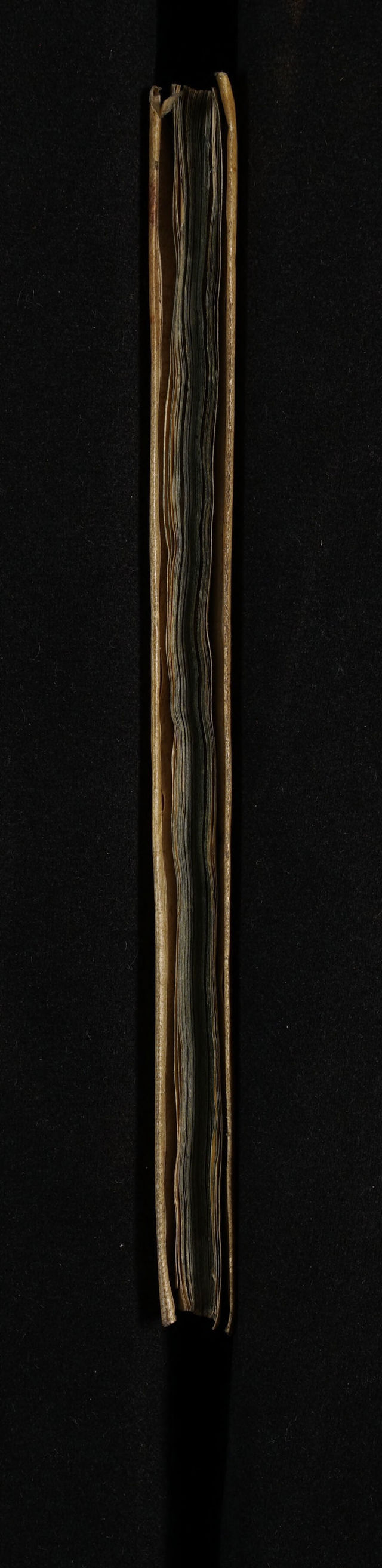 No text description is available for this image