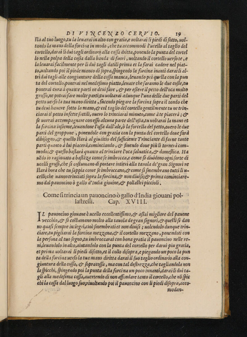 Sla al tuo luogo,tu la leuaraiinalto con gratia,e uoltarai li piedi di fotto, uol- tando la mano della forcina in modo sche tu accommodi lucello al taglio del cortello,daraî li dui tagli ordinarij alla coffa dritta,ponendo la punta del cortel lo nella polpa della cofa dalla banda di fuorî s woltando il cortello uerfote e la leuarai facilmente per li dui tagli datili prinza et la farai cadere nel piat- tosuoltando poi il piedemanco di fopra, fpingendo la forcina inanti daraili al- tri duttagli alle congiuntare della coffa manca, leuando pcî quella conla pun ta del cortello,ponerai nelmedefimo piatto,leuate che faranno le due cofte,tw ponerai cura d quante parti ne deui fare , &amp; per efere il petto dell'oca molto groffo,ne potrai fare molte partistu uoltarai adunque l’una delle due parti del petto uerfo la tua mano diritta , facendo piegare la forcina fopra il tondo che vu deut hanere fotto lamano,&amp;col taglio del cortello gentilmente tu ne trin- ciarai il petto infette fottili, owero lo trinciarai minuto,come ate piacerà ; &amp; fe uorrai accompagnare coneffo alcuna parte dell’ofsa,stuuoltarat la mano et la forcina infteme,lewandone l’offa dall’ale,ò la forcella del petto,ouero le due parti del groppone , ponendole con gratia conla punta del cortello done farà dibifogno,e&amp; questo Stara al giuditio del fufficiente Trinciante di farne tante parti quanto è lui piacerà,cominciando , &amp; finendo doue più lì tornerà com- modo;&lt;&amp; quefto baftara quanto al trinciare l’oca faluaticaye&amp; domeftica. Ha edo io ragionato a baftaza come fe imbroccase come fi diuidono ogni forte dî ucelli groffi,che ft coftumano di portare intieri alla tauola de’gran Signori re Stara bora che tu fappia come feimbroccano,&amp; come fi fmembrano tutti li u= cellische uannotrinciati fopra la forcina,&amp; nondiuifi;&amp; prima cominciare= mo dal pauoncino ò gallo d'India giouine,&amp; pollaStri piccioli, Comedfitrinciaun pauoncino ò gallo d'India siouani pol- laftrelli. Cap. XVIIL L pauoncino giouane è ucello eccellentiimo,&amp; aRai migliore del'pauone vecchio, ft coftumano molto alla tauola degran fignori,.co questi fr dan no quali fempre intiegrizcioè fmembrati et non dinifi ; uolendolo dunque trin= ciarestu pigliarai la forcina mezzana,&amp;® îl cortello mezzano , ponendoti con la perfona al tuo fegno,tu imbroccarai con bona gratia il pauoncino nelle re- nizleuandolo in alio,atutandolo con la punta del cortello per darui piu gratia, et prima uoltarat li piedi difotto,et il collo difopra,e piegando un poco la pun tadella forcina uerfo la tua mano diritta darai il fuo taglio ordinario alla con- giuntura della coffa, &amp; fopracofa , macontal deftrezzasche tagliandola non la (picchi, fpinsendo pot la punta della forcina un poco innanti,darai li dui ta- gli alla medefima coffa,auertendo di non affondare tanto il cortello,che nò {pic chi la coffa dal luogo fuo;rinoltando poò il panoncino con li piedi difoprasacco- / i modane 3