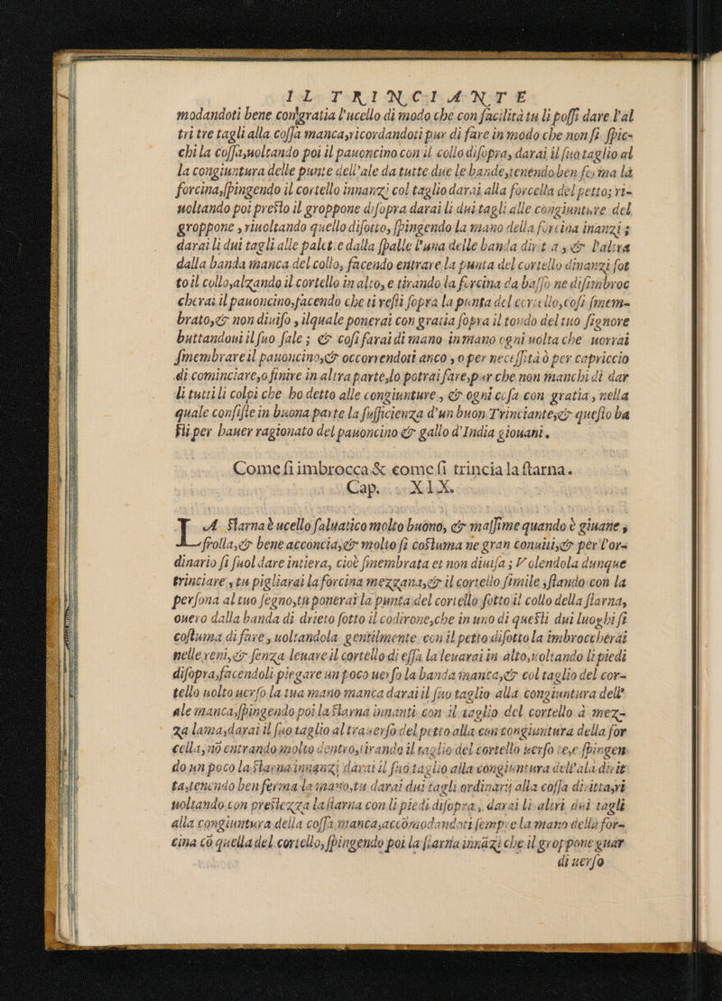 Î:L: T-RI NCL ANT E modandoti bene conigratia l’ucello di modo che con facilità tu li poffi dare Pal tru tre tagli alla coffa mancayricordandoti pur di fare inmodo che non fi. fpic- chila coffayuoltando poi il pauoncinoconil collo difopra, darai il fuotaglio al la congiuntura delle punte dell’ale da tuite due le bandestenendoben ferma là forcina,[Pingendo il cortello innanzi col taglio darni alla forcella del petto; ri- uoltando poi preîto il groppone difopra darai li duitagli alle congiunture del groppone , riucleando quello difotto, fPingendo la mano della fircina inanzi 5 darai li dui tagli alle palet:e dalla [palle l'una delle banda divita dr altra dalla banda manca del collo, facendo entrare la punta del cortello dinanzi fot toil collo,alzando il'cortello in alto, e tirando la fercina da baffo ne difembroc cherai il panoncino,facendo che ti refli Sopra la punta del ccrielio, cofe fmena= brato,<&amp; non dizifo s ilquale ponerai con graiia fopra il tordo del tuo fignore buttandoni il fuo fale; &amp; cofifaraidi mano inmano ogni uolta che uorrai Smembrareil pauoncinosc&amp; occorrendoti anco y 0 per neceffità ò per capriccio di cominciare,ofinire in altra parte,lo potrai fare,pur che non manchi di dar Li tuttili colpi che ho detto alle congiunture, &amp; ogni ccfa con gratia , nella quale confifle in buona parte la fufficienza d'un buon Trinciantes&amp;y quefio ba Sii per bauer ragionato del pauoncino &amp; gallo d'India giouani. Comefiimbrocca&amp; comefi trincialaftarna. Capire TA Slarnatucello faluaticomolto buono, cy maffime quando è giuane; frolla,&amp;y bene acconcia;<&amp; molto fi coftuma ne gran conuiti&amp;o per'l'or= dinario fi fuol dare intiera, cioè fmembrata ei non diuifa ; V olendola dunque trinciare stu pigliaratlaforcina mezzana,cr il cortello fimile 3 flando.con la perfona altuo fegnosta ponerat la punta:del cortello fottoil collo della flarna, ouero dalla banda di drieto fotto il codirone,che inuno di questi dui luoghi fr coftuma difare, uoltandola gentilmente conil petto difotto la imbroccherai nelle reni,c&amp;y fenza lenareil cortello di effa lalenarai in alto,xoltando li piedi difopra,facendoli piegare un poco ue: fo la banda imanca;c&amp; col taglio del cor- tello uolto ucrfo latua mano manca daraiil fuo taglio alla congiuntura deli’ ale manca,fpingendo poi la flarna innanti con il saglio del cortello da mez- za lamasdarai il fuo taglio altraserfodelpetio alla concongiuntura della for cella,no entrando molto centrosiirando il taglio del cortello #erfo tese fdi nen do un poco laStarnainnanzi darai il fio tag lio alla congiuntura dell'ala dirit ta,tcnendo benfermalamano,ti darai dui tagli ordinarij alla coffa divittasri noliando.con prestezza laflarna con.li piedi difopra, darai lialiri dui tagli alla congiuntura della coffa,mancasaccomodandoti femprelamano della for= cina c0 quella del cortello, fbingendo poi la fiarnia innazi che il groppone guar di uerfo