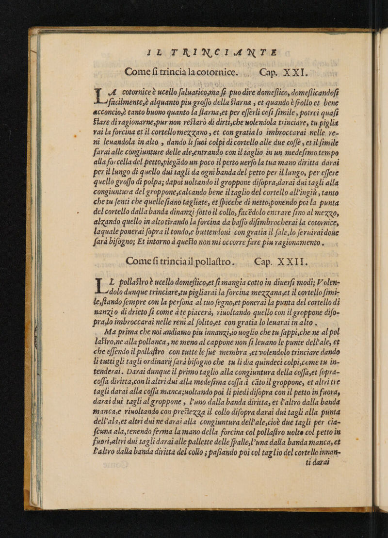 Come fi trincia la cotornice. Cap. XXI. | Da cotornice è ucello Jaluatico,ma fe. puo dire domeffico, domeflicandofi facilmente,è alquanto piu groffò della flarna , et quando è frollo et bene acconcio,è tanto buono quanto la fiarnaset per e[ferli cofi fimile, potrei quaft Stare diragionarne,pur non reStarò di dirti,che uolendola trinciare, tu piglia vai laforcina et il cortellomezzano s et congratialo imbroccarai nelle re- ni leuandola inalto s dando li fuoi colpi di cortello alle due coffe s etil fimile farai alle congiunture delle alesentrando con il taglio in un medefimotempo alla forcelladel perto,piegado un poco il petto uerfo latua mano diritta darai per il lungo di quello dui tagli da ogni banda del petto per il lungo, per effere quello groffo dî polpa; dapoî uoltando il groppone difoprasdarai dui tagli alla congiuntura del groppone,calcando bene il taglio del cortello all’ingiù , tanto che tu fenti che quellefiano tagliate, et picche di netto,ponendo poi la punta del cortello dalla banda dinanzi fotto il collo, facèdolo entrare fino al mezzo, alzando quello in altotirando la forcina da baffo difimbrocherai la cotornice, laquale ponerai fopra il tondo,e buttendoni con gratia il fale,lo feruirai doue fard bifogno; Et intorno a queSto nonmi occorre fare piu ragionamento . Comefitrinciail pollaftro.. . Cap. XXII. Fò pollaStroè ucello domejlico,et fi mangia cotto în diuerfi modi; V'elene dolo dunque trinciarestu pigliarai la forcina mezzana;et il cortello fimi- de,ftando fempre con la perfona al tuo fegnoset ponerai la punta del cortello di manzio di drieto ft come ate piacera, rinoltando quello con il groppone difo- prazlo imbroccarai nelle reni al folitoset con gratia lo leuarai în alto . Ma prima che noi andiamo piu innanzi;io uoglio che tu fappi,che ne al pol laStro,ne alla pollanca , ne meno al cappone non fi leuano le punte dell’ale, et che effendo il pallafiro contuttelefue membra set-volendolo trinciare dando ltuttigli tagli ordinarij fara bifogno che tu li dia quindeci colpi,come tu in- tenderai. Darai dunque il primo taglio alla congiuntura della coffazet fopra- cofla diritta,conli altri dui alla medefima coffa dà catoil groppone, et altritie tagli darai alla coffa manca;uoltando poi li piedi difopra con il petto infuora, darai dui tagli al groppone , l’uno dalla banda diritta, et l’altro dalla banda manca,e riuoltando con preStezza il collo difopra darai dui tagli alla punta dell’alaset altri dui ne darai alla congiuntura dell’ale,cioè due tagli per cia- fcuna ala,tenendo ferma lamano della forcina col pollaftro uolte col petto în fuorisaltri dui tagli darai alle pallette delle fpalle,l'una dalla banda manca, et L'altro dalla banda diritta del collo ; pafando poi col taglio del cortello innan- | ti darai