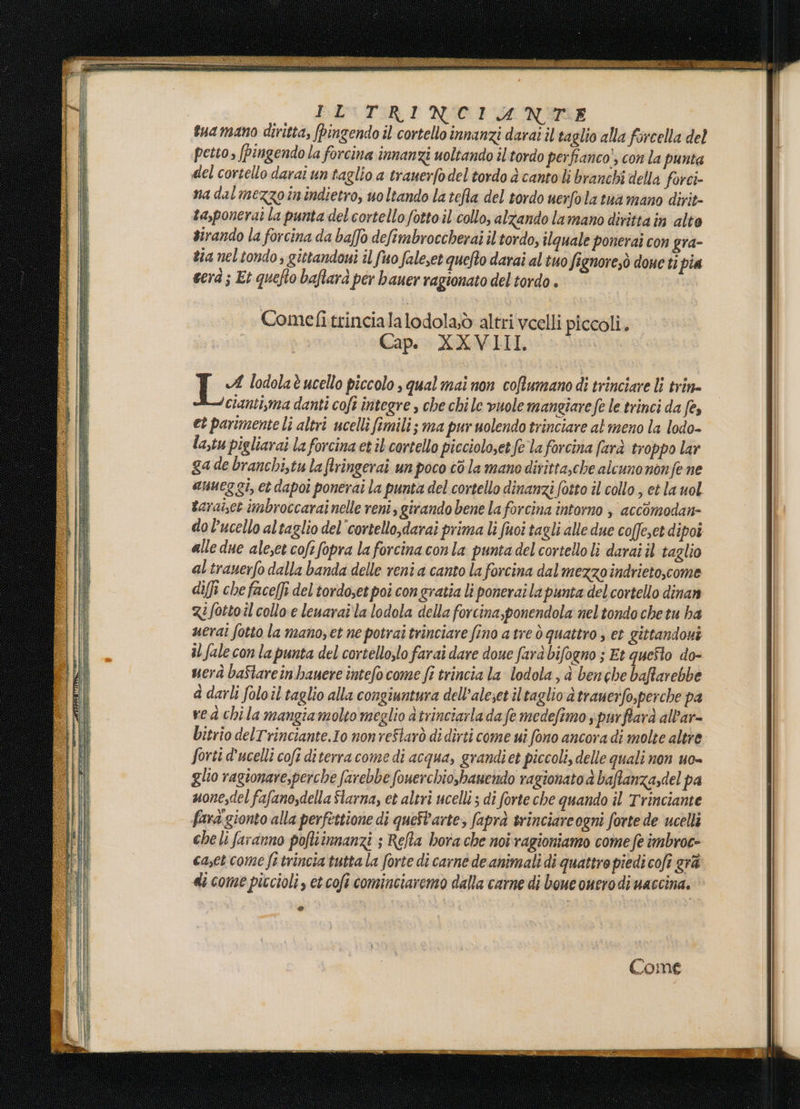EETIRI NICIGANOTE tua mano diritta, [pingendo il cortello innanzi darai il taglio alla forcella del petto, (pingendo la forcina innanzi uoltando il tordo perfianco), con la punta del cortello darai un taglio a trauerfodel tordo è cantoli branchi della forci- na dal mezzo in indietro, uo ltando la tefla del tordo uerfola tua mano dirit- ta,ponerai la punta del cortello fotto il collo, alzando lamano diritta in alto sirando la forcina da baffo defimbroccherai il tordo, ilquale ponerai con gra- eta nel tondo gittandoui il fuo fale,et quefto darai al tuo fignoresò done ti pia cer ; Et quefto baftarà per bauer ragionato del tordo . Comefi trincialalodola;ò altri vcelli piccoli. Cap. XXVIII A lodolaè ucello piccolo, qual mai non coftumano di trinciare li trin= cianti,ma danti coft integre , che chile vuole mangiare fe le trinci da fe, et parimente li altri ucelli fimili; ma pur uolendo trinciare at meno la lodo- la,tu pigliarai la forcina et il cortello piccioloset fe la forcina farà troppo lar ga de branchi,tu la firingerai un poco cò la mane dititta,che alcuno non fe ne anneg gi, et dapoî ponerai la punta del cortello dinanzi fotto il collo ; et la uol tarai,ct imbroccarai nelle reni; girando bene la forcina intorno s accòmodan- do l’ucello altaglio del’cortello;darai prima li fuoi tagli alle due coffe,et dipoi alle due aleset cofefopra la forcina con la punta del cortello li darai il taglio al tranerfo dalla banda delle reni a canto la forcina dal mezzoindrieto,come diffi che face[fi del tordoset poi congratia li ponerai la punta del cortello dinan gifotto il collo e lenarai la lodola della forcina,ponendola nel tondo chetu ha uerai fotto la mano, et ne potrai trinciare fino a tre ò quattro ; et gittandoni il fale con la punta del cortellozlo farai dare doue farà bifogno ; Et queto do- uerà baStareinbauere intefocome fi trincia la lodola , è ben ehe baffarebbe a darli foloil taglio alla congiuntura dell’aleset iltaglio a trauerfo,perche pa ved chila mangiamolto meglio àtrinciarla da fe medefimo i purffarà all'ar- bitrio delTrinciante.Io non re$tarò di dirti come ui fono ancora di molte altre forti d’ucelli cofi diterra come di acqua, grandi et piccoli, delle quali non uo= glio ragionare,perche farebbe fouerchioshanendo ragionato d baffanza,del pa uonesdel fafano,della Starna, et altri ucelli ; di forte che quando il Trinciante fara gionto alla perfertione di quefl'arte; faprà trinciareogni forte de ucelli che li faranno pofiinnanzi ; Reta bora che noi ragioniamo come fe imbroc- caset come fe trincia tutta la forte di carne de animali di quattro piedi cofe grà «i come piccioli, ct.cofi cominciaremo dalla carne di boue onero di uaccina. ©
