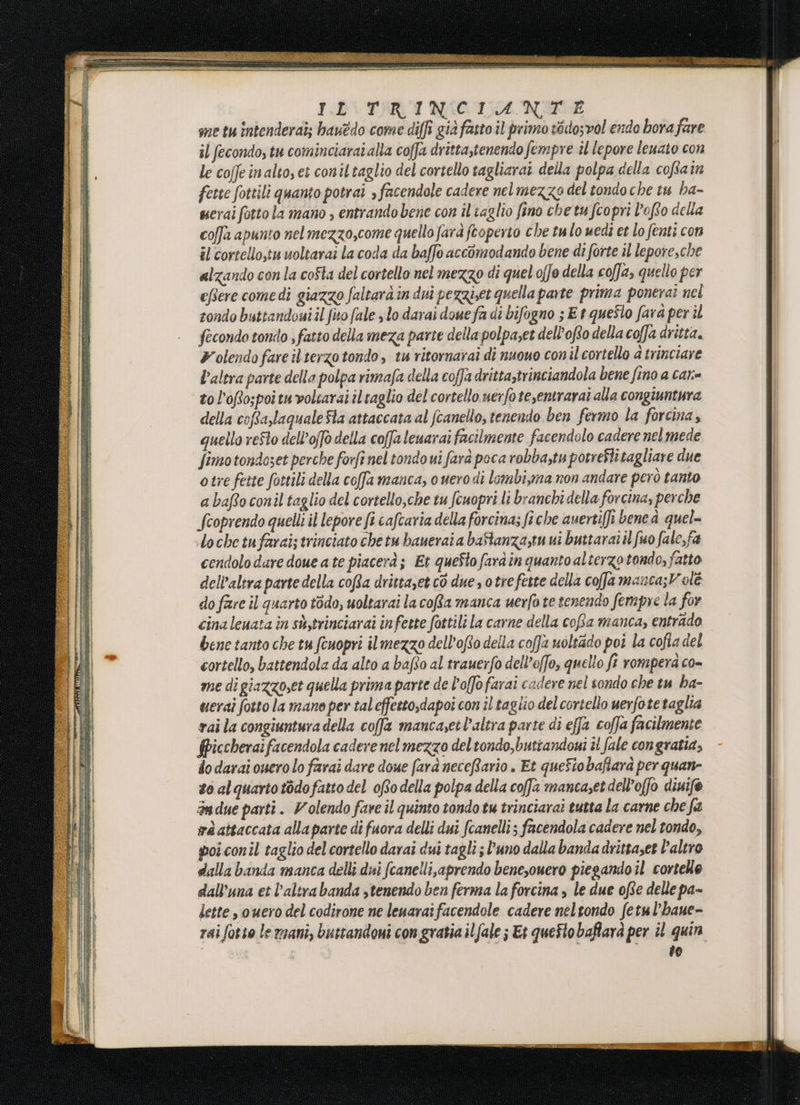 I.b TIR NACIÙA NSEC-E me tu intenderai; hauédo come diffi già fasto il primo téxo;vol endo bora fare il fecondo, tu cominciaraialla coffa drittastenendo fempre il lepore leuato con le coffe in alto, et conil taglio del cortello tagliarai della polpa della coffiain fette fottili quanto potraî , facendole cadere nel mezzo del tondoche tu ha- serai fotto la mano , entrando bene con il taglio fino chetu fcopri l’ofto della colla apunto nelmezzo,come quello farà feoperto che tu lo uedi et lo fenti con il cortello,tu uoltarai la coda da baffo accomodando bene di forte il lepore,che alzando con la co$ta del cortello nel mezzo di quel offo della colla, quello per efere comedi giazzo faltarà in dui pezziset quella parte prima poneraî nel tondo buttandouiil fio fale slo darai doue fa di bifogno ; E t questo fara per il fecondo tondo s fatto della meza parte della polpaset dell'ofto della coffa dritta. Volendo fare il terzo tondo, tu ritornarai di nuouo conil cortello a trinciare l’altra parte della polpa rimafa della coffa dritta,trinciandola bene fino a cari= to l’oRospoituvoltarai il taglio del cortello uerfote,entrarat alla congiuntura della cofta,laqualeSla attaccata al fcanello, tenendo ben fermo la forcina, quello reSto dell’offo della coffa leuarai facilmente facendolo cadere nel mede Jimo tondoset perche forfi nel tondo ui farà poca robba,tu potreStitagliare due otre feste fottili della coffa manca, o verodi lombiyma non andare però tanto a bafo conil taglio del cortello,che tu fcuopri li branchi della forcina, perche Scoprendo quelli il lepore fi cafcaria della forcina; fi che auertift bene à quel= .locbe tufarai; trinciato chetu baueraia bafanza,tu ui buttarai il fuo fale,fa cendolo dare doue a te piacerà; Et queSto fara în quanto alterzo tondo, fatto dell'altra parte della coffa dritta,et co dues otrefette della cofa manca; Vole do fare il quarto t6do, uoltarai la cofta manca uerfote tenendo fempre la for cina leuata in sb,trinciaraî infette fottili la carne della cofta manca, entrado bene tanto che tu fenopri il mezzo dell’ofto della coffa uoltado poi la cofla del cortello, battendola da alto a bafto al trauerfo dell’offo, quello fi romperà co- me di giazzo,et quella prima parte de l'offo farai cadere nel sondo che tu ha- uerai foto la mano per taleffestosdapoi con il taglio delcortello uerfote taglia vai la congiuntura della coffa mancayet l’altra parte di effa coffa facilmente fpiccheraifacendola cadere nelmezzo del tondo,buttandoui il fale congratia, do darai ouero lo farai dare doue farà neceRario . Et queStobafiarà per quane so alquarto tòdofatto del ofo della polpa della coffa mancasetdell’offo diuife 3adue parti. Volendo fare il quinto tondo tw trinciarai tutta la carne che fa wà attaccata allaparte di fuora delli dui fcanelli ; facendola cadere nel tondo, poi conîl taglio del cortello darai dui tagli ; l'uno dalla bandadrittaset l’altro dalla banda manca delli dui (canellisaprendo benesonero piegando il cortello dall'una et l’altra banda stenendo ben ferma la forcina , le due 0fte delle pa- lette , ouero del codirone ne leuarai facendole cadere neltondo fetu l’baue- rai fotto le mani, buttandoni con gratia ilfale ; Et queStobaflarà per il quin ; to