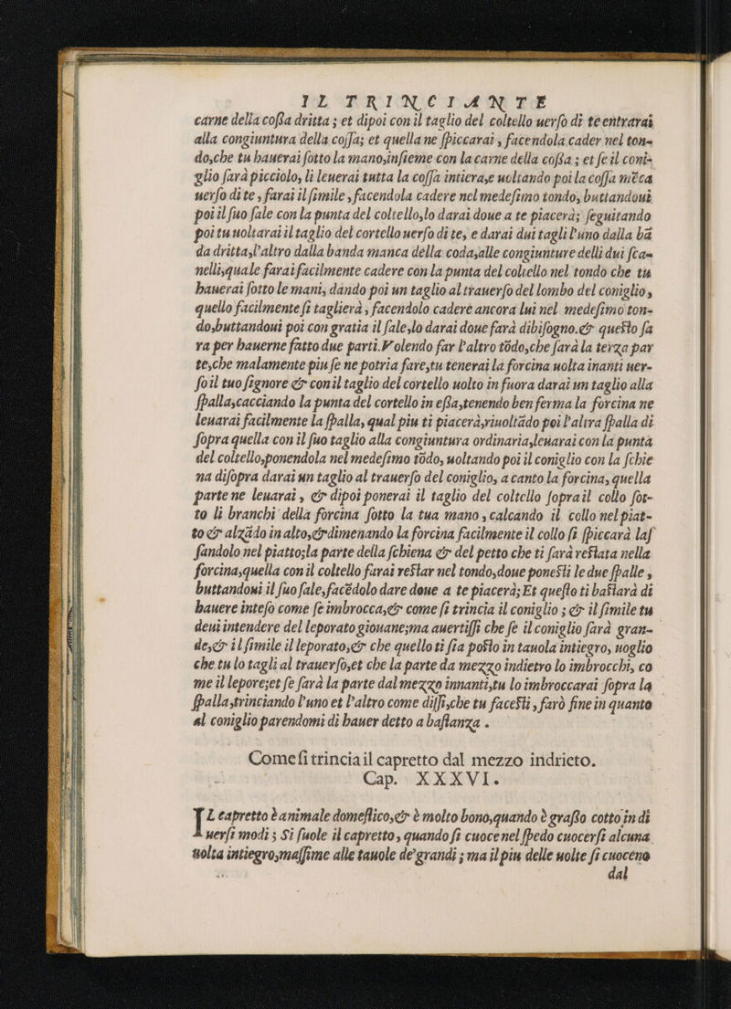 IGGARRINCIANIE carne della coffa dritta ; et dipoi conil taglio del coltello uerfo dî teentrarai alla congiuntura della coffa; et quella ne fpiccarat, facendola. cader nel ton= do,che tu hauerai fotto la manosinfieme con lacarne delia cofta ; et feil coni glio fard picciolo, li lenerai tutta la coffa intierase uoltando poi la coffa méca uerfo dite farai ilfimile facendola cadere nel medefimo tondo, buttandoui poiil fuo fale con la punta del coltello,lo darai doue a te piacerà; feguitando poituuoltaraiiltaglio del cortello uerfo di tey e darai dui tagli l'uno dalla ba da dritta,l’altro dalla banda manca della codayalle congiunture delli dui fca= nellisquale faraifacilmente cadere conla punta del coltello nel'tondo che tu hauerai fotto le mani, dando poi un taglio altrauerfo del lombo del coniglio, quello facilmente ft tagliera ; facendolo cadere ancora lui nel medefimo ton- dosbuttandoui poi con gratia il fale,lo darai doue far dibifogno.&amp; quefto fa ra per bauerne fatto due parti.Wolendo far l'altro todo,che farà la terza par te,che malamente piu fe ne potria farestu tenerai la forcina uolta inanti uer- Soil tuo fignore &amp; conil taglio del cortello uolto in fuora darai un taglio alla fpallascacciando la punta del cortello în eRa,tenendo ben ferma la forcina ne leuaraî facilmente la (palla, qual piu ti piacerà,yriuoltado pei Paltra falla di Sopra quella con îl fuo taglio alla congiuntura ordinaria,levarai con la punta del.coltello,ponendola nel medefimo t0do, uoltando poi il coniglio con la fchie na difopra darai un taglio al trauerfo del coniglio, a canto la forcina, quella parte ne leuaraî , &amp; dipoi ponerai il taglio del coltello fopraîl collo for- to lì branchi della forcina fotto la tua mano, calcando il collo nel piat- Sandolo nel piatto;la parte della fchiena &lt;&amp; del petto che ti farà reftata nella forcina,quella conil coltello farai reStar nel tondo,doue poneSti le due fpalle s buttandoni il fuofale,facèdolo dare doue a te piacerà; Et quefto ti bafiarà di bauere intefo come feimbrocca,&amp; come fi trincia il coniglio ;&amp; il fimile tu deut intendere del leporato gionanesma auerti[fi che fe il'coniglio farà gran- desco il fimile il leporato,&amp; che quelloti fia poSto in tauola intiegro, uoglio chetulotagli al trauerfoset che la parte da mezzo indietro lo imbrocchi, co me il lepore;et fe farà la parte dal mezzo înnanti,tu lo imbroccarai fopra la fpalla,trinciando l'uno et l’altro come dilfiche tu faceSti , farò fine in quanto al coniglio parendomi di bauer detto a bafianza . Comefitrinciail capretto dal mezzo indricto. Cap. XXXVI. P capretto è animale domeflico,&lt;&amp; è molto bono, quando è graffo cotto indi uerfi modi ; Si fuole il capretto, quando fî cuoce nel fpedo cuocerfi alcuna nolta intiegro,maffime alle tauole de’grandi ; ma il piu delle uolte fi cuoceno va dal