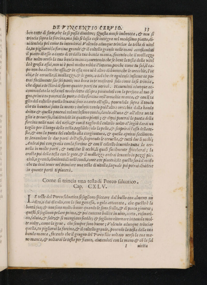 DE PINCENTIO CERPIO. 1 ben cotte di fortesche-La fi poRa diuideres Quefta nonfe imbrocca 3 &amp; now fe trincia fopra la forcinasma (olo fa lafta cofà intitora nel medefimo piatto;di- sidendola poî come:tu intenderai Volendo adunquetrinciar la teSta di uitel la,tu pigliarai la forcina grande &amp;r il coltello grande nelle mani accoftandoti il piatto die(fa acanto di tedallatua banda marca; facendo che il moftazzo Sita uolto uerfo la tua banda mancazanertendo che fe bene latefta della vitel laè groRa affaimon ni è però molta robba d'intorno,perche come tu fai,ilca- po non haaltro che offaser in effa non ui è altro di buono che le orecchie, loc chise le ceruella;il mostazzo,co le gote a tal che de ognicofa infieme ne por trai facilmente far fei parti; ma bora iote moffrarò Solo come lafe trincia » che dipoiate Stara difamne quante parti ta norrai è Hawendoti adunque ac= commodata la teftanelmodo detto difopra ponendoti con la perfona al tuo fe gno;prima tuponerai la punta dellaforcina nell'orecchia manca, &amp; conilta glio:del coltello quella lenarai fino a canto all’offò, ponendola fopra iltonde 4 che tu bauerai fotto la mano imbrbccando poil'altra orecchia dalla banda dritta &amp;quella ponerai nel medefimortondodando all'una &amp;r all'altra unta glio a traucrfodinidendole in quattro piatti s &amp; dipor poneraî la punta della forcina nelle nari del nafo,e&amp; conii taglio del. coltello uolto al’îngiù darai uîs taglio per illungo della teSta,tagliado/olo lapelle,&amp; fcoprirat l’ofo dellate» fia, con la punta del coltello alla congiuntura, &amp; quella aprirai facilmente te slemandone le due parti dell’offo, fcoprendo le ceruella,c&amp; tutti due li occhi; Andraî poi congratia conla forcina &amp; conîl coltello leuando tutta la cer- mella in molte parti, &amp; tutti due li occhi,li quali facilmente Piccheraî ; la croSta poi della tefta con le gote,s il moflazzo andrai lenando in pezzi pic- cioli,o grandisdiuidendoli nelli tondi,come ate piacerà; Et questo fard il modo che tu deuî tener nel trinciare una tefla di uitella;laguale poi potrai diuidere in quante parti ti piacerà, Come fi trincia una teltadi Porco faluatico, Cap. CXLV. E tefle del Porco faluatico fe fogliono fpiccare dal buflo conalmeno un dito,o dui dicolio,con la fua ganaffa, ogola attaccata, che questo è la P PA } Vai s SAM s n È re n) « bontà fua; non fono molte buone quandole fono folle, di porca giouene ; we quejti.ft fogliono pelare prima, poi cuocere bollite in uino,aceto, rofinari- nosfaluia,o falesc&amp;o fi mangiano fredde; &amp; fogliono ritornare intauola mol- te uolre ,comela grue, che fempre fono buone ; Volendo adungue trinciar quella,tu pigliarai la forcina&amp;r il coltello grande, ponendo la teffa dalla tua banda manca , facendo che il grugno del Porco Sia uoltato uerfo la tua ma- no manca, uoltarat la tefla per fianco, aiutandoti conta mano &amp;r cò la fal + uietta