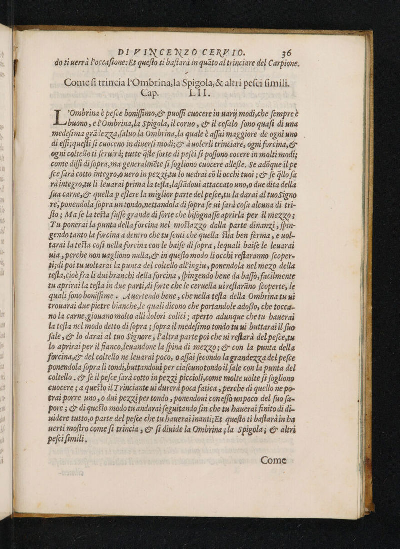‘ DIVINCENZO CERZIO. 36 doti uerrà loccafione:Et quefto ti baftara in quato altrinciare del Carpione. Come fi trincia l'Ombrina;la Spigola,&amp; altri pefci fimili. Cap. LII. peri è pefce boniftmo,&lt;s puoffi cuocere in uariyj modi,che fempre è buono, e l’Ombrina,la spigola, il coruo , &amp; il cefalo fono quafi di una medefima gradezza,faluo la Ombrina,la quale è affai maggiore de ogni uno di e[fi;quefti fi cuoceno in diuerfî modi; &lt;w a uolerli trinciare, ogni forcina,&amp; ogni coltelloti feruirà; tuste gfle forte di pefti ft poffono cocere in molti modi; come diffi difopra,ma generalmete fi fogliono cuocere allefte. Se adoque il pe fee fara cotto integroso uero in pezzi,tu lo uedrai co li occhi tuoi ; &amp; fe Gllo fa raintegro,tu li leuarai prima la tefta,laftidoui attaccato uno,o due dita della Sua carnescr quella p eftere la miglior parte del pefcestu la darai altuosigno re, ponendola fopra untondo,nettandola di fopra fe ui farà cofa alcuna di tri- fio; Ma fe la testa fufjè grande di forte che bifognaffe aprirla per il mezzo; Tu ponerat la punta della forcina nel mostazzo dalla parte dinanzi ; (pin- gendotanto la forcina a dentro che tu fenti che quella Slia ben ferma, e uol- sarai lateSta coft nella forcina con le baife di fopra , lequali baife le leuarai uta , perche non uagliono nulla,cy in queftomodo liocchi reftaranno fcoper- tisdi poi tu moltarai la punta del coltello all’ingiu, ponendola nelmezo della sefta,cioè fra li dui branchi della forcina , fpingendo bene da baffo, facilmente tuapriratla tefta in due parti,di forte che le ceruella uireftarino fcoperte, le quali fono bonifime . Auertendo bene, che nella tea della Ombrina tu i trouarai due pietre bianche,le quali dicono che portandole adofto, che tocca» nola carne,giouano molto alli dolori colici ; aperto adunque chetu hauerai la tefta nel modo detto di fopra ; fopra il medefimo tondo tu ui buttarai il fuo Sale» lo darai al tuo Signore, l’altra parte poi che ui reffarà del pefte,tu lo aprirai per il fianco,lenandone la {pina di mezzo; &amp;y con la punta della forcina,&lt;&amp; del coltello ne leuarai poco, 0 affai fecondo la grandezza del pefce ponendola fopra li tondi, buttandoui per ciafcunotondo il fale con la punta del coltello . cr fe il pefce farà cotto în pezzi piccioli,come molte uolte jt fogliono cuocere ; a queSlo il Trinciante ui durera poca fatica , perche di quello ne po- &amp;rai porre uno, 0 dui pezzi pertondo , ponendoui coneffounpoco del fuo fa- pore ; &amp;y diqueSto modotuandarai feguitando fin che tu hauerai finito di di uidere tuttoso parte del pefte che tubaueraî inanti;Et quefto ti baffaràin ba uerti moftro come fi trincia , &amp; fi dinide la Ombrina ; la Spigola; &amp; altri pefi fimili. Come went SR tre troie I sitio ” 2% i Vee MRC Meet rai î i ate SERIA METE ae