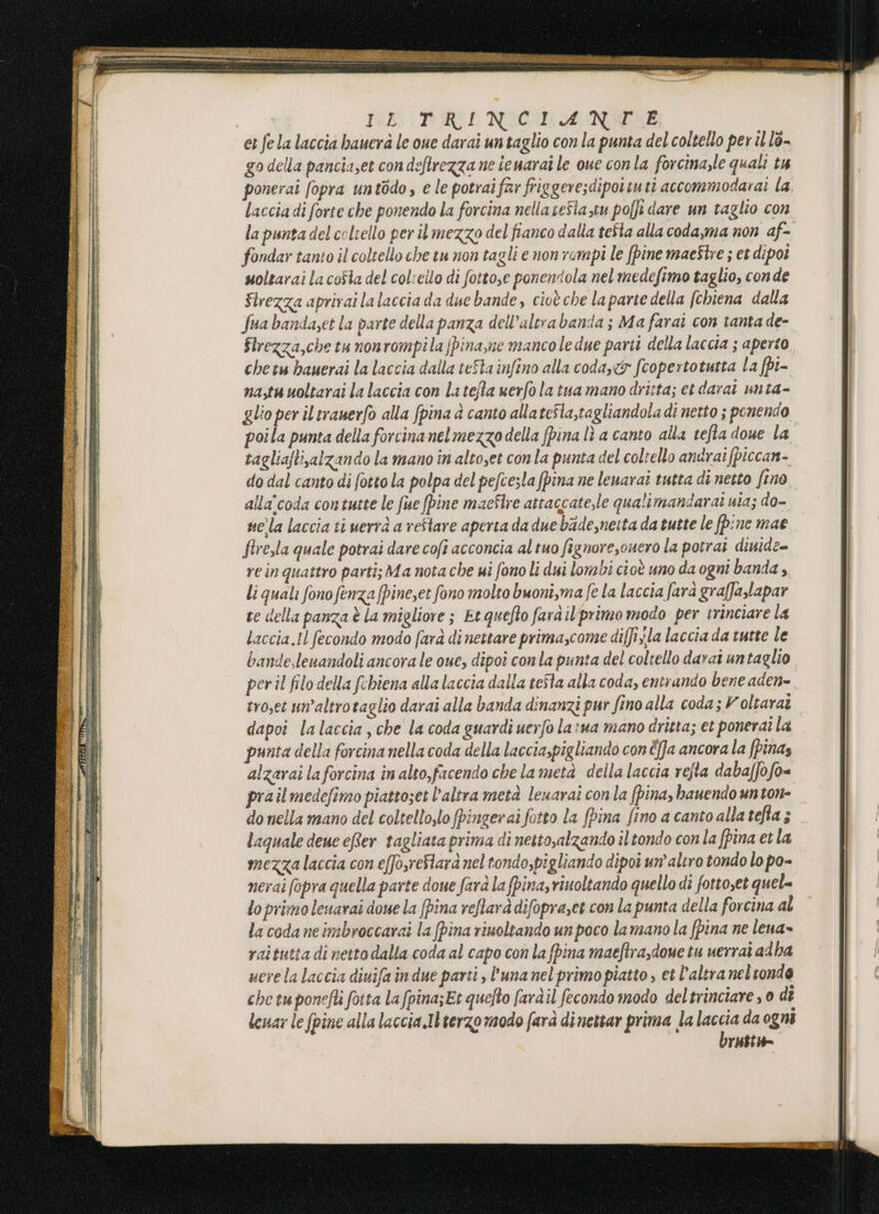 Tel PRI NSCARAGNSEGE et fela laccia bauerà le oue darai un taglio con la punta del coltello per il la- go della pancia,et con deflrezza ne iemarai le oue conla forcina,le quali t4 ponerai fopra untodo, e le potrai far friggeresdipoituti accommodarai la. lacciadi forte che ponendo la forcina nellaseSla zu pofji dare un taglio con la punta del coltello per ilmezzo del fianco dalla tefta alla coda,ma non af- fondar tanto il coltello che tu non tagli e non rompi le pine maeStre ; et dipoi uoltarai la coSta del col:ello di fotto,e ponendola nel medefimo taglio, conde Strezza aprirai lalaccia da due bande, cioè che la parte della (chiena dalla Sua banda,et la parte della panza dell’altra banda; Ma farat con tanta de- Strezza,che tu nonrompila [pina,ne manco le due parti della laccia ; aperto chetu bauerai la laccia dalla teSta infino alla codase&amp; fcopertotutta la (pi- na,tu uoltarai la laccia con latefla serfola tua mano dri:ta; et darai unta- glio per il trauerfo alla fpina è canto allateSla,tagliandola di netto ; penendo tagliaftisalzando la mano in altoset conla punta del coltello andrai fpiccan- do dal canto di fotto la polpa del pefcesla fpina ne lenarai tutta di netto fino alla'coda contutte le fue pine macSlre attaccate,le qualimandarai uia; do- uc'la laccia ti uerià a restare aperta da due badesneita da tutte le (pine mae firezla quale potrai dare cofi acconcia altuo fignore,ouero la potrai dinide= re in quattro parti; Ma nota che ui fono li dui lonzbi cioè uno da ogni banda, li quali fono fenza fpinezet fono molto bwoni,ma fe la laccia farà graffalapar te della panza è la migliore; Etquefto fard il primo modo per trinciare la laccia.I fecondo modo farà di nestare prima,come diffijla laccia da tutte le bande,lenandoli ancora le oue, dipoî con la punta del coltello darat untaglio perl filo della fchiena alla laccia dalla te$ta alla coda, entrando bene aden» rroset un’altrotaglio darai alla banda dinanzi pur fino alla coda; V oltaraî dapoi lalaccia, che la coda guardi uerfo la:ma mano dritta; et ponerarla punta della forcina nella coda della laccia,pigliando con èfa ancora la (pinas alzarai laforcina in alto,facendo che lametà della laccia refta dabaffofo= prailmedefimo piattoset l’altra metà leuarai conla (pina, bauendo unton- do nella mano del coltellozlo fpingerai fotto la (pina fino a canto alla tefta ; laguale deue eRer tagliata prima di netto,alzando il tondo conla fpina et la mezza laccia con effo,reStara nel tondo,pigliando dipoi un’ altro tondo lo po- nerai (opra quella parte doue farà la fpina,viuoltando quello di fottoset quel= lo primo lenarai doue la pina reftarà difopraset con la punta della forcina al la coda neimbroccarai la (pina rinoltando un poco la mano la (pina ne lena» raitutta di netto dalla coda al capo con la fpina maeftra,dove tu uerraî adha uerela laccia diuifaindue parti, l’unanel primo piatto , et l’altra nel tonde che tu ponefti fotta la (pina;Et quefto fardil fecondo modo deltrinciare , 0 di leuar le (pine alla laccia.Il terzo modo farà dinettar prima la iù da ogni rHabti=