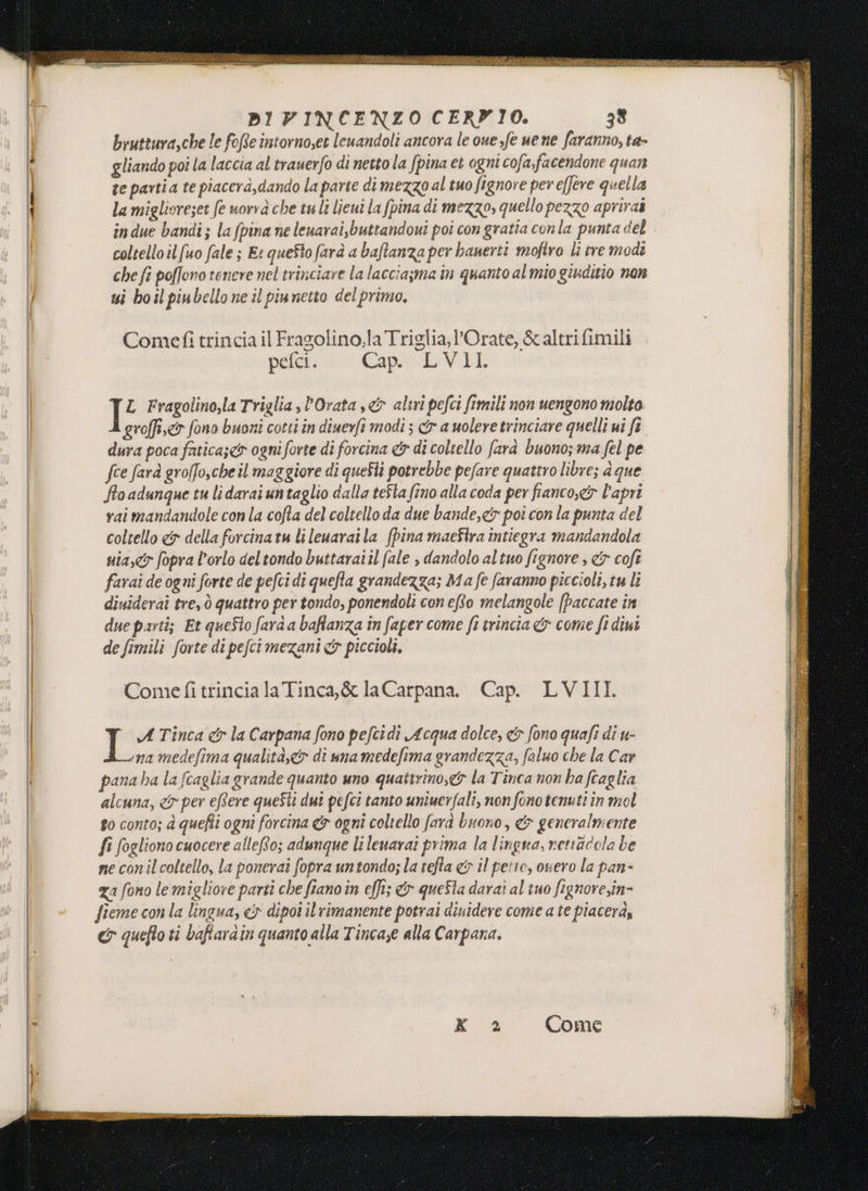 BIVINCENZO CERA IO. 33 bruttura,che le fofe intorno,et leuandoli ancora le oue,fe ue ne faranno, ta- gliando poi la laccia al trauerfo di nettola fpina et ogni cofa,facendone quan ze partia te piacerà,dando la parte di mezzo al tuo fignore per effere quella la miglioreset fe uorvà che tulì lieui la (pina di mezzo, quello pezzo apriras indue bandi; la fpina ne leuarai,buttandowi poi con gratia conla punta del. coltello il fuo fale ; E: quefto farà a baftanza per bauerti mofiro lì tre modi che fi poffono tenere nel trinciare la lacciajma in quanto al mio giuditio non ui boil piubello ne il piunetto del primo, Comefi trincia il Fragolino,la Triglia,l’Orate, &amp; altrifimili pefci. Cap. LVII. 1 Fragolino,la Triglia, l'Orata s&amp; altri pefci fimili non uengono molto. groffi 7 fono buoni cotti în diuerfi modi; &amp;r a uoleretrinciare quelli ui ft dura poca fatica; ogni forte di forcina &amp; di coltello farà buono; ma fel pe fce farà groffo,cheil maggiore di queSti potrebbe pefare quattro libre; a que fo adunque tu lidaraiuntaglio dalla tefta fino alla coda per fianco, l’apri vai mandandole con la cofta del coltello da due bande,&lt;&amp; poi con la punta del coltello &amp; della forcina tu li leuarai la (pina maeSlra intiegra mandandola sia, fopra l'orlo deltondo buttarai il fale , dandolo altuo fignore , &lt;&amp;y coft farai de ogni forte de pefci di quefla grandezza; Ma fe faranno piccioli, tu lì diuiderai tre, ò quattro per tondo, ponendoli con eo melangole [Paccate in due parti; Et queSto farà a bafianza în faper come ft trincia &amp; come fi diui de fimili forte di pefci mezani 5 piccioli. Come fi trincia la Tinca,&amp; la Carpana. Cap. LVIII ° A Tinca &amp; la Carpana fono pefcidi Acqua dolce, &amp; fono quafi di u- ina medefima qualità,e&amp;® di ana medefima grandezza, faluo che la Car pana ha la fcaglia grande quanto uno quattrino,&amp; la Tinca non ha fcaglia alcuna, &lt;&amp; per eRere queSti dut pefci tanto uniuerfali, non fono tenuti in mol to conto; è quefti ogni forcina &amp; ogni coltello farà buono, &amp; generalmente fi fogliono cuocere alleto; adunque li leuarai prima la lingua, rertacola be ne con il coltello, la ponerai fopra untondo; la tefta &amp; il petto, overo la pan- za fono le migliore parti che fiano in e[ft; &amp; queSta darai al tuo fignove,in- fieme con la lingua, «5 dipoî ilrimanente potrai diuidere come a te piacerà, &amp; queflo ti baftarain quanto alla Tinca,e alla Carpana. Come