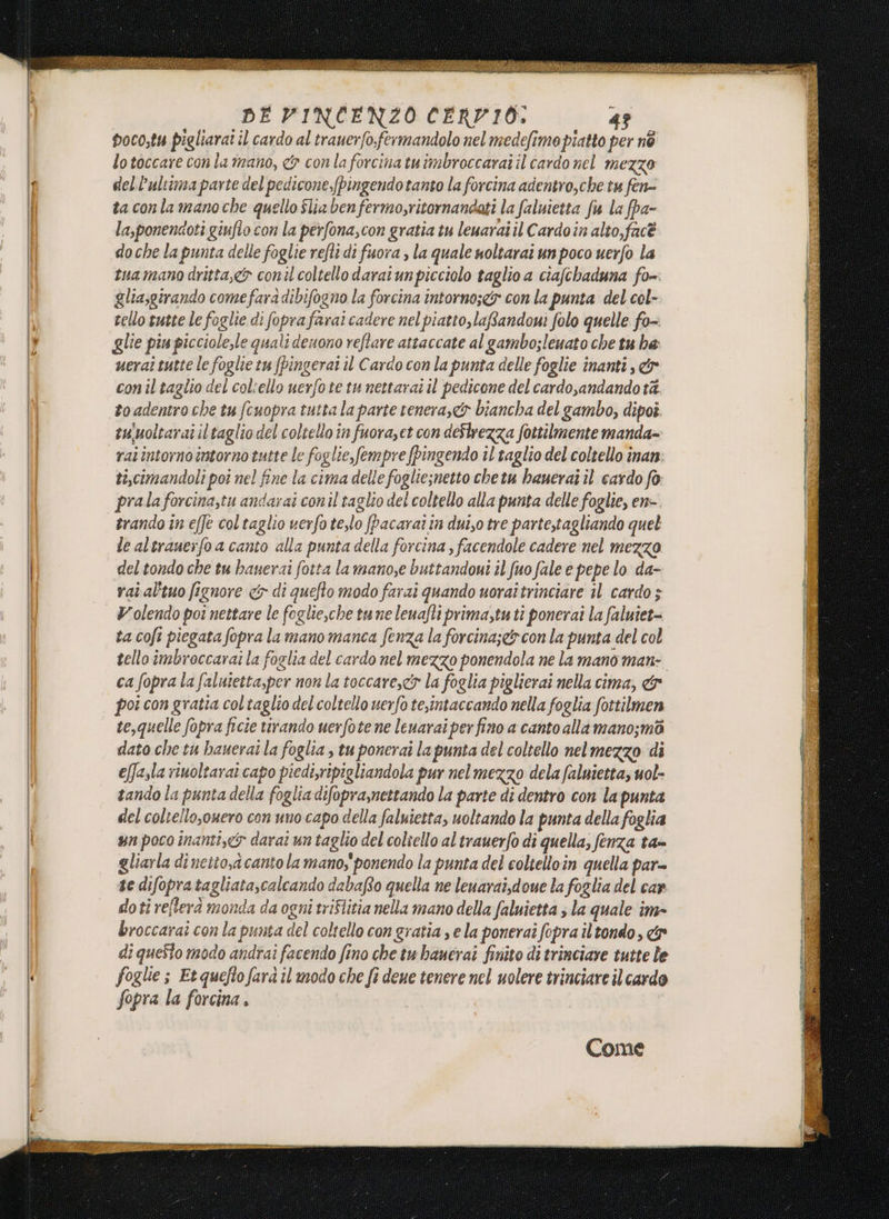poco,tu pigliarat il cardo al trauerfo,fermandolo nel medefime piatto per né lo toccare con la mano, &amp; con la forcinatu imbroccarai il cardo nel mezzo toadentro che tu (cuopra tutta la parte venera,&amp; biancha del gambo, dipoî. suuoltaraî il taglio del coltello in fuora,et con de$lrezza fottilmente manda= rai intorno intorno tutte le foglie, fempre (pingendo il taglio del coltello înan: ti,cimandoli poî nel fine la cima delle fogliesnetto chetu baneraî il cardo fo prala forcina,tu andarai conil taglio del coltello alla punta delle foglie, en- trando in effe coltaglio verfotelo [Pacarai tn dui,o tre partestagliando quel le altrauerfo a canto alla punta della forcina , facendole cadere nel mezzo del tondo che tu hanerai fotta la manose buttandovi îl fuo fale e pepe lo da- rai al'tuo [ignore &lt;&amp; di quefto modo farai quando uoraitrinciare il cardo 5 Volendo pot nettare le foglie,che tune leuafti prima,tu tè ponerai la faluiet- ta coft piegata fopra la mano manca fenza la forcina;&amp; con la punta del col tello imbroccarai la foglia del cardo nel mezzo ponendola ne la mano man: ca fopra la faluietta,per non la toccare, la foglia piglierai nella cima, &amp; poi con gratta col taglio del coltello uerfo teintaccando nella foglia fottilmen te,quelle fopra ficie tirando uerfote ne lenarai per fino a canto alla mano;mo dato che tu hauerai la foglia , tu ponerai lapunta del coltello nelmezzo di effazla riuoltaraî capo piedi,ripigliandola pur nel mezzo dela faluietta, uol- tando la punta della foglia difopramettando la parte di dentro con la punta del coltello,ouero con uno capo della faluiesta, uoltando la punta della foglia un poco inantix 3 darai un taglio del coltello al trauerfo di quella, fenza ta= gliarla di netio,d canto la mano, ponendo la punta del coltelloin quella par= se difopratagliata,calcando dabafo quella ne leuarai,doue la foglia del car doti refterà monda da ogni triflitia nella mano della faluietta 3 la quale im- broccarai con la punta del coltello con gratia s ela ponerai fopra iltondo, &amp; foglie s Etquefto farà il modo che fi dene tenere nel uolere trinciare il cardo Sopra la forcina . Come (t9 i a =* o RAZER ST INRI L- 3