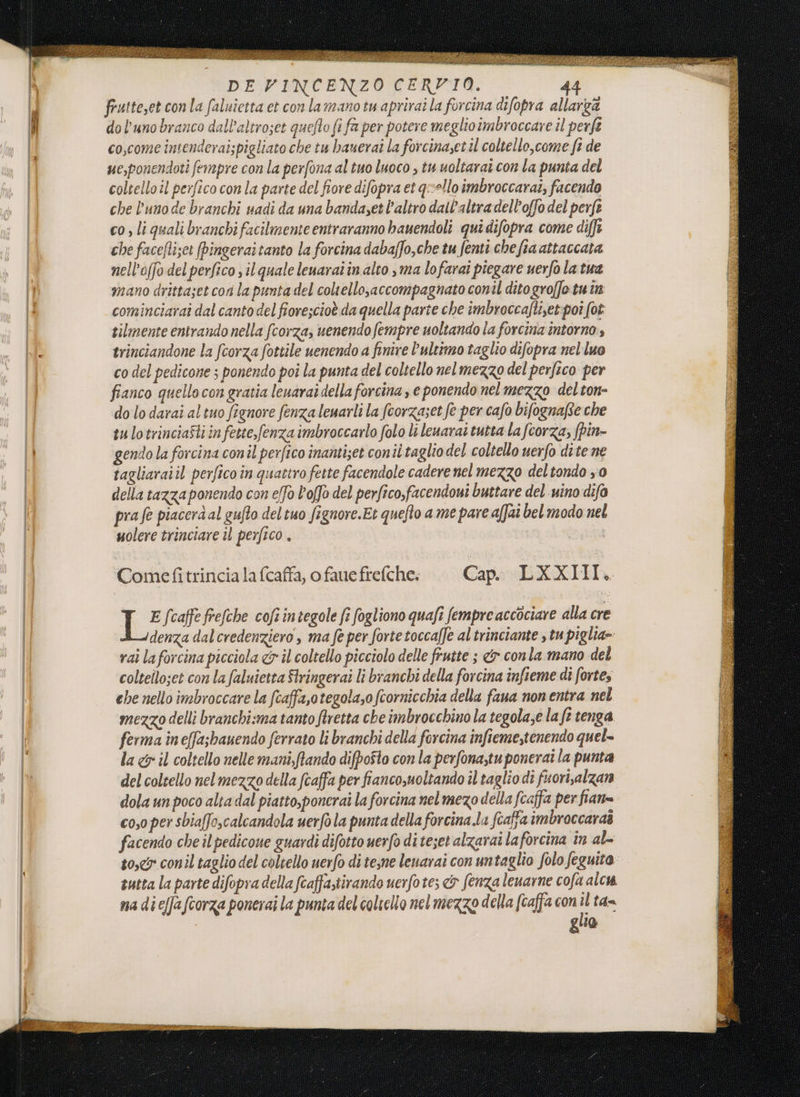 frutteset con la faluietta et con lamano tu aprirai la forcina difopra allarga dol’unobranco dall’altroset quefto fi fa per potere meglioimbroccare il perfî co,come intenderaispigliato che tu haserai la forcinasetil coltello,come fi de ue,ponendoti fempre con la perfona al tuo luoco , tu uoltarat con la punta del coltello il perfico con la parte del fiore difopra et quello imbroccarai, facendo che lunode branchi uadi da una bandaset l’altro dall'altra dell’offo del perfe co, liquali branchi facilmente entraranno bauendoli qui difopra come diffi che facefti;et (bingeraitanto la forcina dabaffo,che tu fenti che fta attaccata nell’offo delperfico s il quale leuarai in alto ma lofarai piegare uerfo la tua mano drittaset cori la punta del coltello,accompagnato conil ditogroffo tu in cominciaraî dal canto del fiorescioè da quella parte che imbroccaftiset:poi fot tilmente entrando nella fcorza, uenendo fempre uoltando la forcina intorno, trinciandone la fcorza fottile uenendo a finire l’ultimo taglio difopra nel luo co del pedicone ; ponendo poi la punta del coltello nelmezzo del perfeco per fianco quellocon gratia leuarai della forcina , e ponendo nel mezzo delton- do lo darai al tuo fignore fenza leuarli la fcorzaset fe per cafo bifognafte che su lotrinciaSti in fette,fenza imbroccarlo folo li leuarai tutta la fcorza, fpin- gendo la forcina conil perfico inantizet conii taglio del coltello uerfo dite ne tagliaraiil perfico in quattro fette facendole cadere nel mezzo deltondo x0 della tazza ponendo con eo l'offo del perfico,facendoui buttare del ino difo pra fe piacerà al gufto del tuo fignore.Et quefto ame pare affai bel modo nel uolere trinciare il perfico . Comefitrincia la fcaffa, o faue frefche. Cap. LXXIII, E (caffe frefche cofi integole fi fogliono quafi fempre accociare alla cre denza dal credenziero , ma fe per fortetocca[fe al trinciante , tu piglia» rai laforcina picciola &amp; îl coltello picciolo delle frutte ; &amp; conla mano del colteito;et con lafaluietta Stringerai li branchi della forcina infteme di fortes ehe nello imbroccare la fcaffa,otegola,o fcornicchia della faua non entra nel mezzo delli branchi:ma tanto ftretta che imbrocchino la tegola,e la fe tenga ferma ineffasbauendo ferrato li branchi della forcina infieme,tenendo quel= la &amp; il coltello nelle mani,ftando difpoîto con la perfona,tuponerai la punta del coltello nel mezzo della fcaffa per fianco, uoltando il taglio di fuori,alzan dola un poco alta dal piatto,poncrai la forcina nelmezo della fcaffa per fian= coyo per sbiaffo,calcandola uerfo la punta della forcina.la foaffa imbroccaraò facendo che il pedicoue guardi difotto uerfo di teset alzarai laforcina in al to, conil taglio del coltello uerfo di tesne leuarai con untaglio folo feguita sutta la parte difopra della fcaffastirando uerfo tes &amp; fenza leuarne cofa alcu na dieffafcorza ponerai la punta del coltello nel mezzo della (caffa con È fd gua