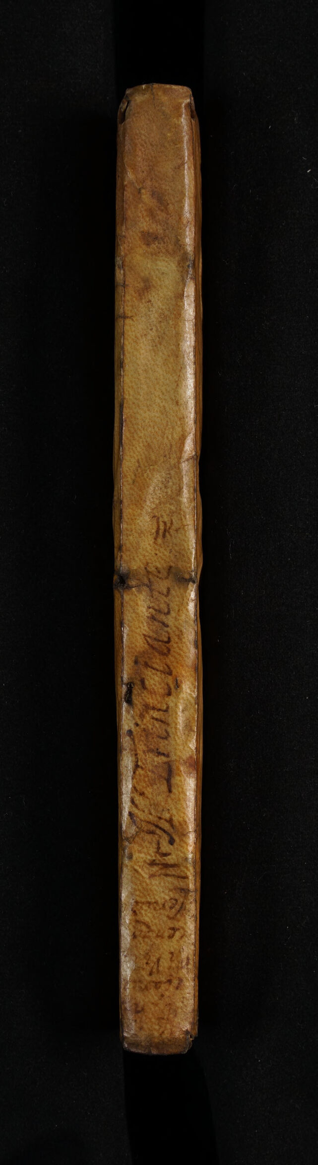 digitised image 2