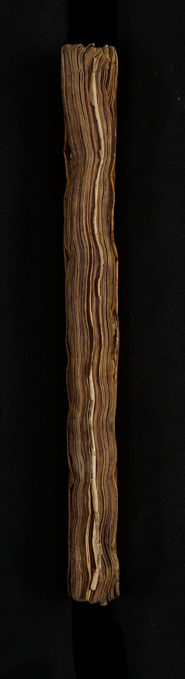 digitised image 3