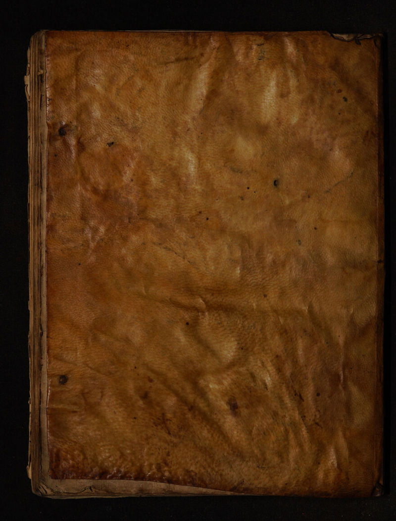 No text description is available for this image