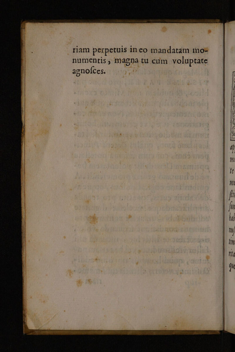 ® TEETTASTÀ { PERR_emmnE MET