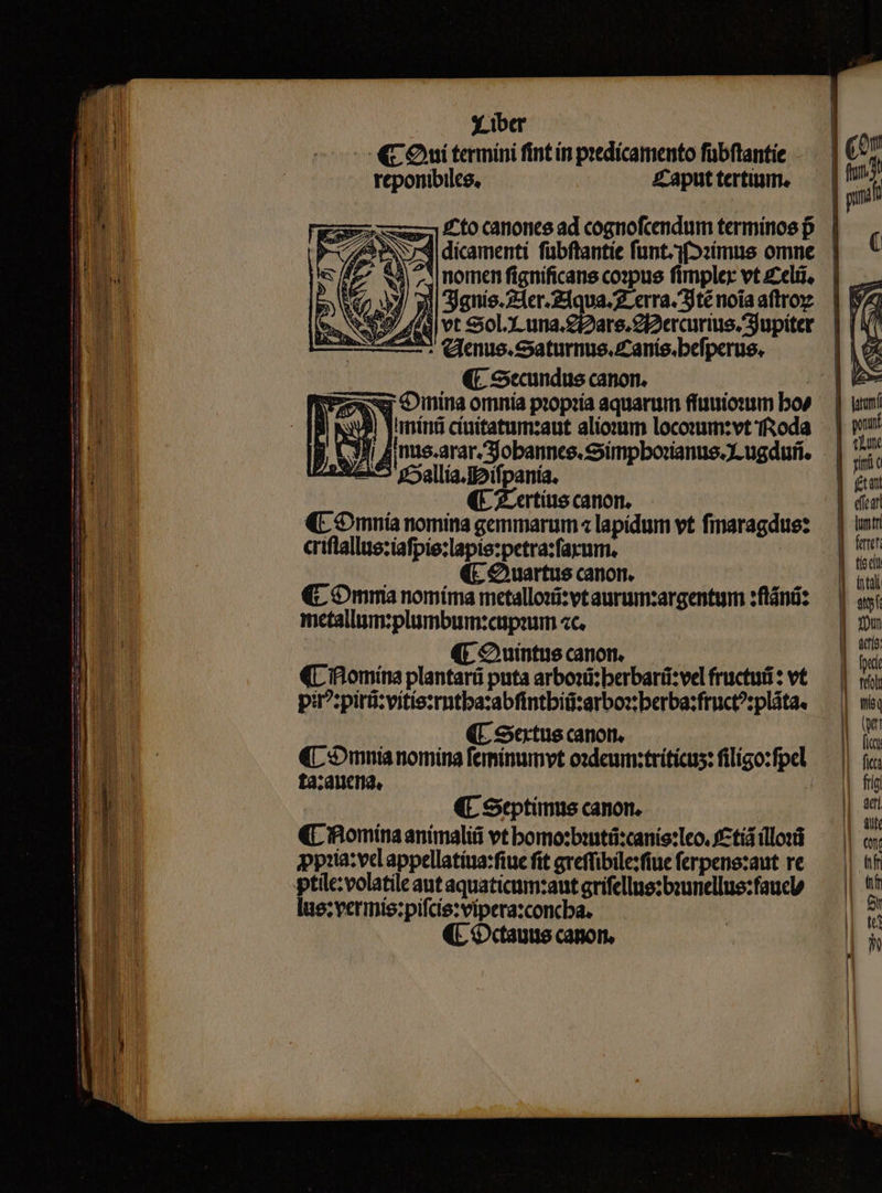 X.iber — «C Owiteamini fint ín predícamento fübflantie reponibilce, Z'put tertinm. 3 J^ t0 canones ad cognofcendum terminos D »N4dicamenti fübftantie funt.3(2:ímus omne 4| ^| nomen figníficans co»pus fimplex vt zeli 4 y 3] 3gnis. 24er. 21qua. 2. erra. Sjté noia aftro Sy 44d vt Sol. X una.£i2are. 2I2erairius. Jupiter NNI LAM 5 n : Cmnus.Saturnus.Zanís.befperue. (t Secundus canon. | : €nina omnía propria aquarum ffuuionim bo/ «UA Yunini ciuitatum:aut aliosum locomum:vt ffzoda (5 J| nus.arar. S obannce.Ssimpborianue. Jc ugdui. veh oallía.lDifpania. | (E Z-ertits canon. €. Omnía nomina gemmarum « lapidum vt finaragdue: criflallue:iafpie:lapis:petra:facum. (C Ouartus canon. €. Omnia nomíma metalloii:vtaurum:argentum :ftánd: metallim:plumbum:cupium «c. | (E Ouintus canon. (L'omina plantará puta arbori: berbarü:vel fructui * vt pi?:pirü:vítie:rntba:abfintbiü:arbox berba:fruct?:pláta. | . KCStuscanom. — € mnia nomina feminumvt oxdeum:tríticus: filigo:fpel ta:aucna, Lc (C Septimus canon. (C omina animali vt bomo:biti:canis:leo, Eti (lor ppiia:ve appellatíua:fiue fit gveffibile:fiue ferpens:aut re lue: vermis: pifcie:vipera:concba. ctauus canon. ponunt | (n au