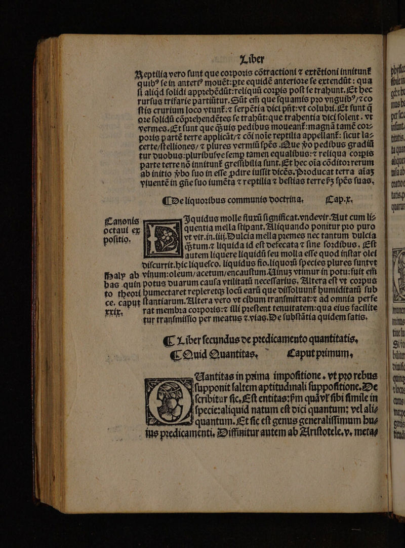 Axeptilia vero funt que co»poxts cótractiont eptetíoni innítun£ quib? fet anter? mouét:pte equíde anteríose fe eztendüt : qua [i alíid folídi app:ebédüt:reliquii cozpts poft fe trabunt. /£t bec rurfue trifarie partíütur.cexit em quefquarite pio vnguib?/zco ftís crurium loco tunt; ferpétía oíct pát:vet colubs(./£t funt q Q1e folídü copzebendétes fe trabüt:que trabentía oicí folent . vt *ermes.f£t funt que qsuie pedibus motgeant:magna tamé co12 po:ís parté terre applicat, có( note reptilia appellant: ficut la2 ecrte/ftelliones; « plureg vermiüfpéo .2ue o pedibus gradili tur ouobus:plur(bufecfemp tamen equalíbue:c relíqua co:pte parte terrenó innítun£ greffibilia funt. £t bec oia codito:rerum ab initio bo fuo ín effe pdtre (uffít ofces. f»:oducat terra. aía5 viuenté ín gie fuo tuméta c reptilía e beftíae terre5 fpCe fuas, ([2elíquo:xbus communis ooctrina. — — (Cap.r. fCanonle vmm Sautdue molle fluxü fignificat.endevirz1ut cum líz octaut eg IB Bresse | quentia mella ftipant.Zllíquando ponitur pio puro pofitio. Id **5- b vir.ín.(i((- Dulcia mella pzemee nec tantum oulcta ONE. 3 57 dtum« ltuida td eft oefecata z fine foidibus. (Eft as autem líquereliquidü feu molla effe quod ínftar olei oifcurrít.bictiquefco. liquidus fio.líquoatt fpecíee plures funtvt fbaly ab vínum:oleum/ acetum/encauftum.dfinus vtánurt n potu:fuít em to tbeoxt bumectaret repleretqs loci earü que oíffoluunt bumiditatii fub ce. caput [tantíarum.Zlltera vero vt cibum tranfmíttat:z ad omnía perfe rtp, —— ratmemb:a coipois:c (ll pzeftent tenuttatem:qua e(us factlíte | tur tranfmíffío per meatus c.v(as. De fübftatia quidem fatte. (E Liber fecundus oe piedicamento quantitatis, «Ouid Quantitas, ^ — £aput primum, 3 Cttitas in pxina impofitione. vt pro rebue EC WW fupponit faltem aptitudinali füppofitione.z2e MEMM Vcribitur fio feft entitas:fm quávrfibi fimile in J JA (pecicaliquid natum eft oici quantum; velalíz Lea! quantum. fct fic cft emus generaliffimum bue . us predicamenti, Z2íffinitur antem ab Ziriftotele v, metae ied z ;|C* - [| oic J]. fict M. D nb ] gula innt ] tits. 3 ugiat ] diua Lb | uti E qui | un | title | trit | Siw || bili Ib | qii || tli || mi || iiy | (nj | ftoi