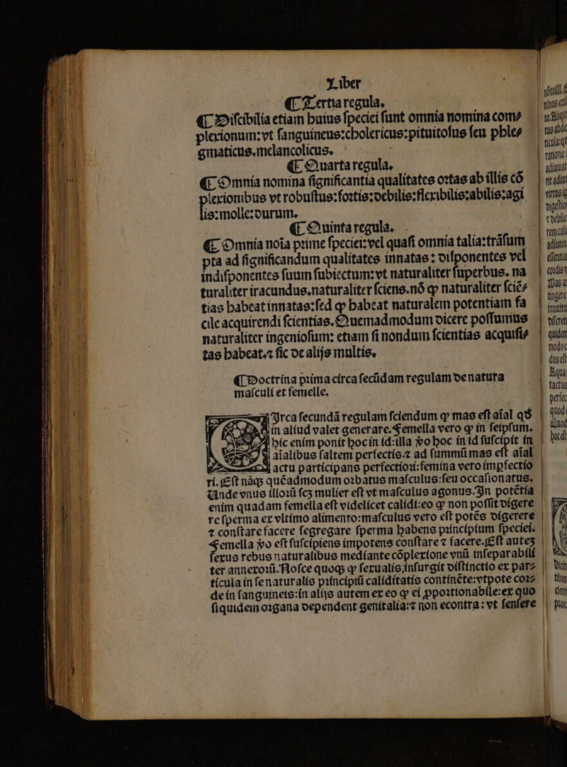 (C Zertaregula. 4L 2ifibilia etiam buius fpecici funt omnia nomina com plecionum:vt fanguíneue:cbolerícue:pítuitofus feu ple gimatiuesamdancolius. ^ c (E Quarta regula. (C Omnia nomina fignificantía qualitates o:tae ab illis có lerionibue vt robuftue:fo:tís:ocbilie:flcribilis:abilie:agí is:molieourum. | | | | (COuintaregula. . —— — | KL Omnia noia prime fpeciei: vel quaft omnía talía:tráfum pta ad fignificandum qualítatce innatas : oifponentee vd indifponentee fuum fubicctum:vt naturaliter fperbus. na taraliter íracundus.naturaliter cíene.nó qp naturaliter fcic/ tias babcatinnatas:fed q» babeat naturalem potentiam fa cile acquirendi fcíentías. £o uemadmodum oicere poffumus naturaliter ingeniofum: etiam fi nondum fcientías acquifi/ tas babeat. fic ocalijs multis, ([2octrína piimacírca fecidam regulam oenatuta maícult et femelle. jin aliud valet generare.Semella vero qp ín fetpfum. : 74 híc enim ponit bocin (d:illa foboc ín td fufciptt ín ^ Z5 qi aialibue faltem perfectio. ad fummtüimas eft aíal 4 eia) actu partícipane perfectioxi;femtna vero impfectío | - ande vnus íllo:i fcs mulier eft vt mafculue agonus.3In potétía enim quadam femella eft videlícet calidt:eo gp non poffit oígere rcfperma er vltímo alimento:mafculus vero eft potée oígerere te aq tica! ratione: —— ritadi visi tede teca e(fentia tigac elfcref quida tiodoc Ma factie petat quod. (Quod hod