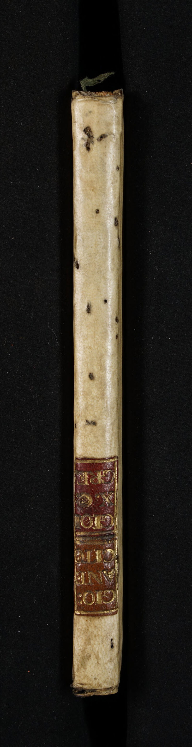 No text description is available for this image