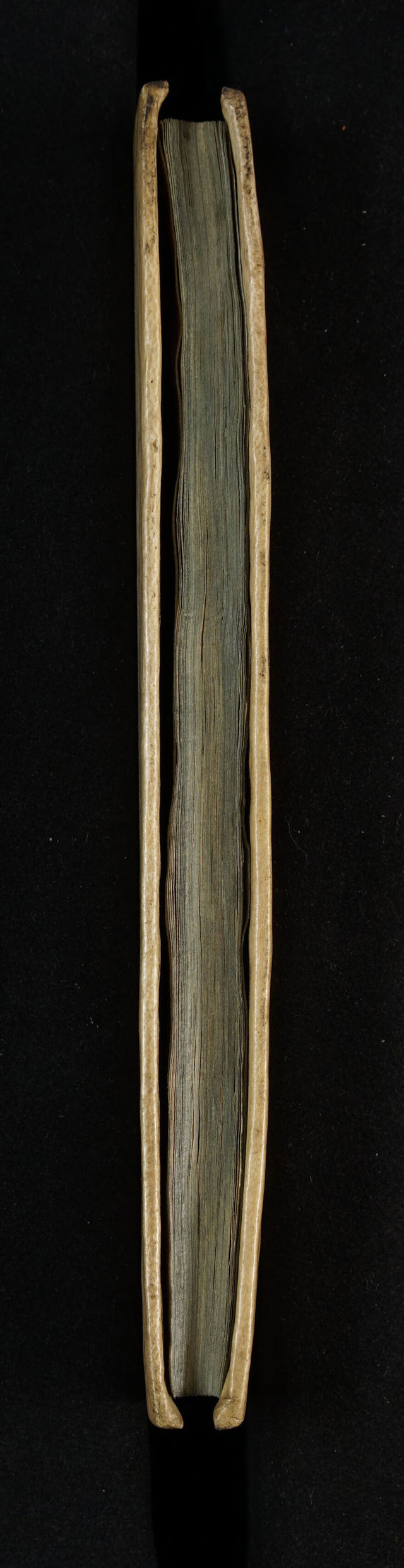 digitised image 3