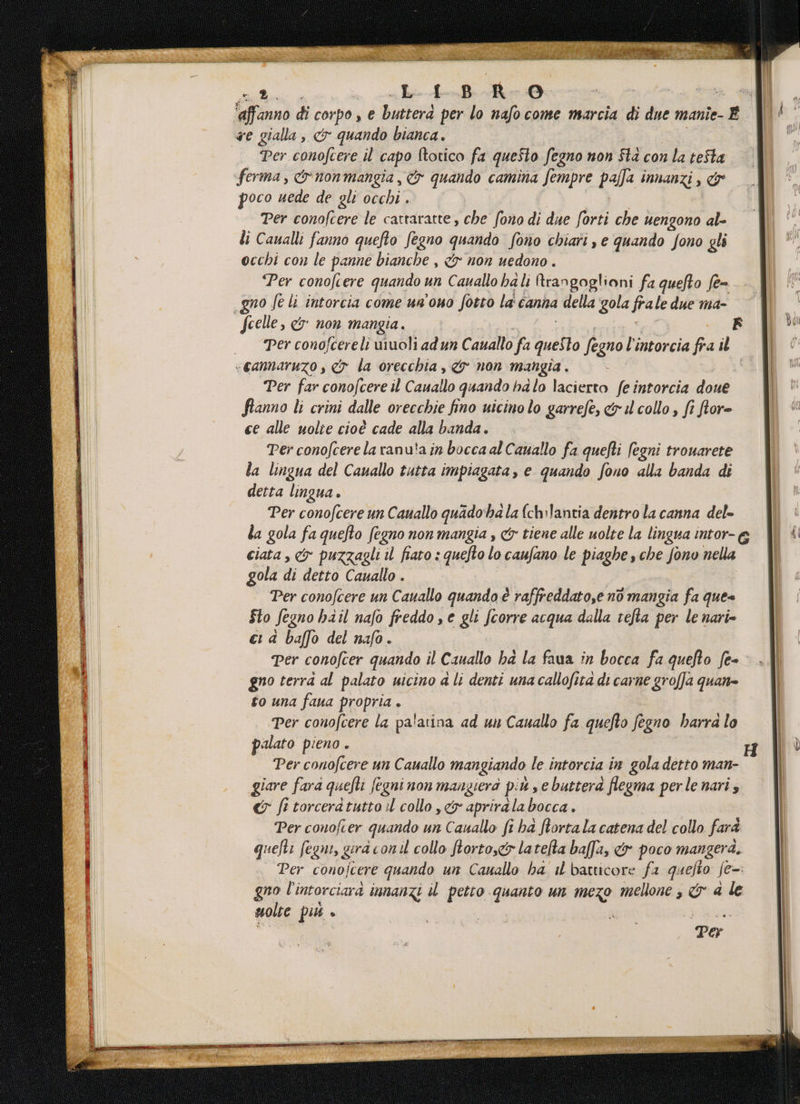 a -«Je-t-B-Rr/0 = &amp; ‘affanno di corpo, € butterd per lo nafo come marcia di due 1 manîe- È «e gialla ,, &amp; quando bianca. Per conofcere il capo Itotico fa questo fegno non Sta con la teSta ferma, &amp;nonmangia , &amp; quando camina fempre palla innanzi , &amp;° poco uede de gli occhi . Per conoftere le cattaratte, che fono di due forti che 1 uengono al- | li Caualli fanno quefto fegno quelo fono chiari ,e quando fono gli {| * occhi con le panne bianche , &amp; non uedono . Per conofcere quando un ar hali Rrangoglioni fa quefto fe= «gno fe li intorcia come un'ono fotto la canta della gola frale due ma- fcelle, &amp; non mangia. F © Perconofcereli unuoli ad un Cauallo fa ALE È egno li intorcia fra il «cannaruzo s &amp; la orecchia , &amp;y non mangia . Per far conofcere il Cauallo quando halo lacierto feintorcia doue fianno li crini dalle orecchie fino uicino lo garrefe, &amp; il collo, fr ftor= ce alle uolie cioè cade alla banda. Per conofcere la ranu'a in bocca al Cauallo fa quefti fegni trouarete la lingua del Cauallo tutta impiagata, e quando fono alla banda di detta lingua. Per conofcere un Cauallo quado halaf{ch:Jantia dentro la canna del- la gola fa quefto fegno non mangia , &amp; tiene alle uolte la lingua intor- @ ciata , &amp; puzzagli il fiato : quefto lo caufano le piaghe, che fono nella gola di detto Cauallo . Per conofcere un Cauallo quando è raffreddato,e no mangia fa que= Sto fegno hail nafo freddo s e gli fcorre acqua dalla tefta per le nari» ca baffo del nafo. Per conofcer quando il Cauallo ha la faua in bocca fa quefto fe= gno terra al palato uicino a li denti una callofita di carne grofa quan to una faua propria è Per conofcere la pa'atina ad un Cauallo fa quefto fegno harra lo palato pieno . Per conofcere un Cauallo mangiando le intorcia in gola detto man- giare fara quelli fegni non mangiera p: 4 ,cbuttera flegma perle nari s &amp; fi torceratutto il collo ,ew aprirala Hiscae Per conofcer quando un Canallo fi ha ftortala catena del collo farà quefti fegnt, gerà conil collo forto,scy latefta baffa, &amp; poco mangerà, Per conojcere quando un Canallo ha il batticore fa quefto fe gno l’'intorciara IMMANZi il petto quanto un mezo mellone , rn a le molte più »