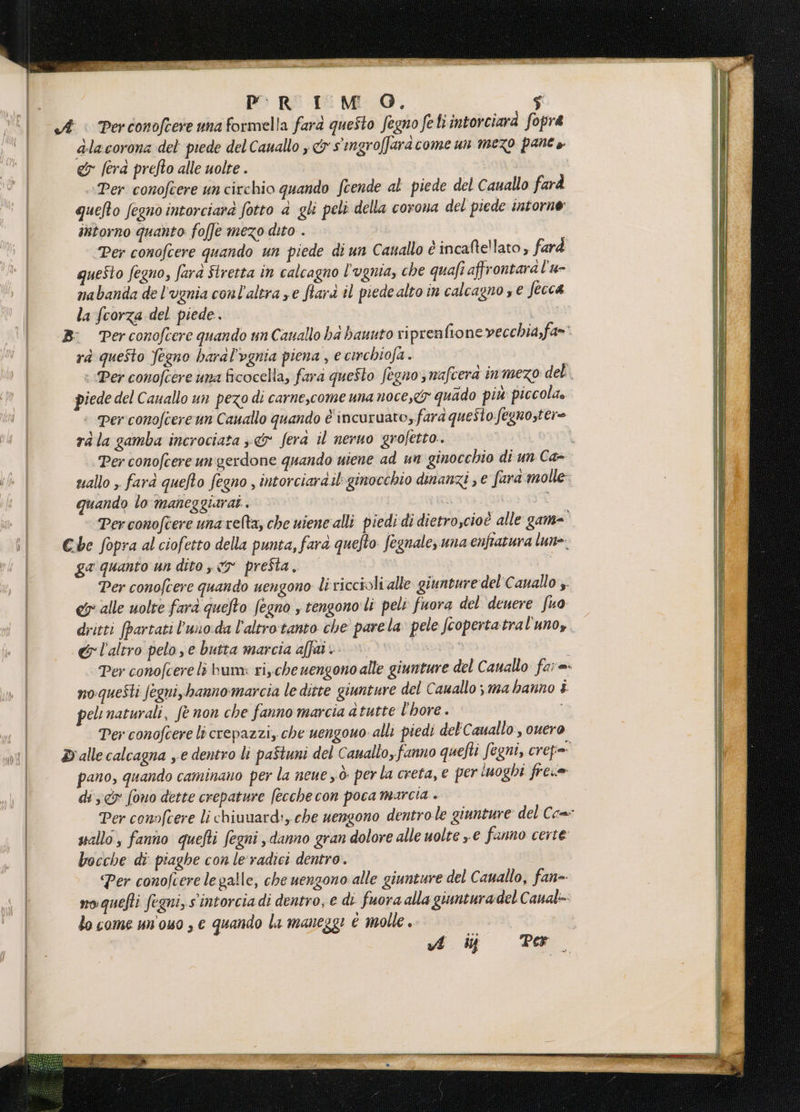 PRIMO. Di alacorona del piede del Cauallo y &amp; s'ingroffard come un mezo pane &amp; fera prefto alle uolte . Per conofcere un circhio quando feende al piede del Cauallo farà quefto fegno intorciara fotto a gli peli della corona del piede intorno intorno quanto foffe mezo dito . Per conofcere quando un piede di un Casallo é incaltellato, farà questo fegno, farà Stretta in calcagno l’ugnia, che quafi affrontara l'u- nabanda de l'ugnia conl'altra ze fara il piede alto in calcagno se fecca la fcorza del piede. rà quefto fegno haral'vgnia piena , e cinchiofa. : Per conofcere una ficocella, fard questo fegno nafcera inmezo del. piede del Cauallo un pezo di carne,come una noce, quado più piccola. : Per conofcere un Cauallo quando è incuruato, fara questo fegnostere rala gamba incrociata 3; &amp; fera il neruo grofetto.. \ Per conofcere un'gerdone quando uiene ad un ginocchio di un Ca- wallo ;. farà quefto fegno , intorciara.il ginocchio dinanzi , € fara molle quando lo maneggiarat.. À Per conofcere una velta, che uiene alli piedi di dietro,cioè alle game ga quanto un dito , ey presta, Per conofcere quando uengono li riccioli alle giunture del'Canallo ;. cy alle uolte farà quefto fegno , tengono'li peli fuora del deuere fuo dritti [partati l'uno:da l'altrotanto che parela: pele fcopertatral'uno, &amp; l'altro pelo,e butta marcia affi.» 0» |» Per conofcere lì bum: ri,che nengono alle giunture del Cauallo far=- no questi fegni, banno marcia le ditte giunture del Cauallo ; ma hanno È peltnaturali, fè non che fanno marcia atutte l'hore. Per conofcere li crepazzi, che uengouo alli piedi del'C auallo, ouero pano, quando caminano per la neue yò: perla creta, e per luoghi frese di; cy fono dette crepature fecche con poca marcia » Per conofcere li chiuuard:, che uengono dentro le giunture: del Ce=- sallo, fanno quefti fegni , danno gran dolore alle uolte »e fanno certe bocche di piaghe con le'radici dentro. Per conofcere legalle, che uengono alle giunture del Cauallo, fan=- noquefti fegni, s'intorcia di dentro, e di fuora alla giuntura del Caual:- lo come un'owo , € quando la maneggi è molle . dij Te
