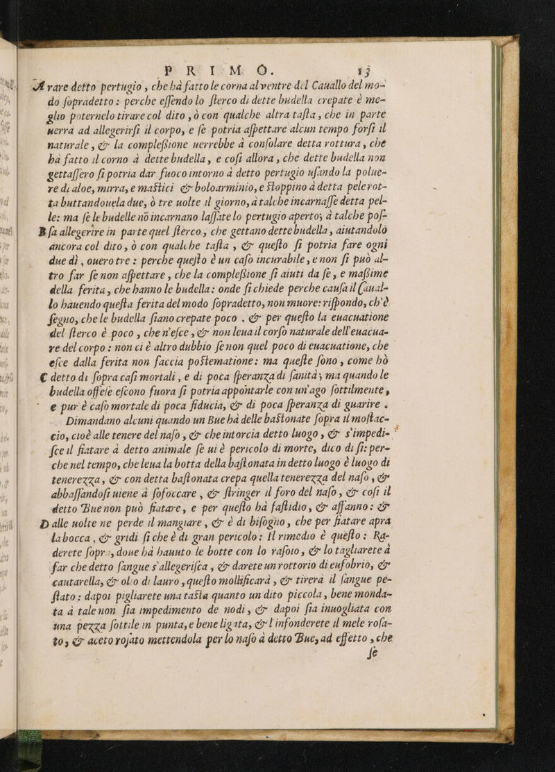 cai Mt ici medi Pod Gi PRE IM: O. ‘bo A rare detto pertugio , che ha fatto le corna alventre dl Cauallo del mo- do fopradetto : perche e[fendo lo fterco di dette budella crepate è me- lio poternelotirare col dito ,ò con qualche altra tafta, che in parte | uerrà ad allegerirfi il corpo, e fe potria afpettare alcun tempo forfi il | naturale, &amp; la compleftrone ucrrebbe a confolare detta rottura, che | ba fatto il corno è dettebudella, e coft allora , che dette budella non gettaffero fi potria dar fuoco intorno a detto pertugio ufando la polue- re di aloe, mura, e maftici &amp; boloarminio, e Stoppino a detta pele rot- ta buttandouela due, ò tre uolte il giorno, a talche incarnaffe detta pel- | les ma fe lebudelle nò incarnano laffate lo pertugio aperto; a talche pof- nati =B fa allegerire in parte quel flerco, che gettano dette budella, aiutandolo | ancora col dito, ò con qualche tafta , &amp; quefto fi potria fare ogni | duedì,ouerotre: perche quefto è un cafo incurabile enon fi può al- i | tro far fenon afpettare , che la compleftione ft aiuti da fe, e mafime | della ferita, che hanno le budella: onde fi chiede perche caufa il (anal- om | lo bauendo quefta ferita delmodo fopradetto, non muore: rifpondo, ch'è me, | fegno, che le budella fiano crepate poco , &amp; per quefto la euacuatione dh | del Rerco è poco , che n'efce &amp; non leuail corfo naturale dell'euacua- | redelcorpo : non ci è altro dubbio fenon quel poco di euacuatione, che | efce dalla ferita non faccia poftematione: ma quefte fono , come hò € detto di fopracafi mortali , e di poca (peranzadi fanita; ma quando le rh | budella offele efcono fuora fi potria appontarle con un'ago fottilmente $ | - e purècafomortaledi poca fiducia, &amp; di poca fperanza di guarire . Dimandano alcuni quando un Bue ha delle ba$tonate fopra tl moftac= cio, cioè alle tenere del nafo , &amp; che intorcia detto luogo , &amp; s'impedi» È fce il fiatare &amp; detto animale fè ui è pericolo di morte, dico di fi: per- che nel tempo, che lena la botta della baftonata in detto luogo è luogo di | tenerezza, &amp; con detta baftonata crepa quella tenerezza del nafo , &amp; | abbaffandofi uiene 4 fofoccare , &amp;y ftringer il foro del nafo, &amp; cofî il | detto Buenon può fiatare, e per quefto ha faftidio, &amp;y affanno: &amp; sil 2 alle molte ne perde il mangiare, &amp; è di bifogho , che per fiatare apra | labocca, x gridi fi che è di gran pericolo: Il rimedio È queto: Ra- | derete fopr:, doue ha hauuto le botte con lo rafoio, &amp; lo tagliarete a far che detto fangue s allegerifca , &amp;y darete unrottorio di eufobrio, &amp;y cautarella, &amp; ol:0 di lauro squefto mollificara , &amp; tirera il fangue pe- Sato: dapor pigliarete una ta$ta quanto un dito piccola, bene monda- | ta a talenon fia impedimento de nodi, &amp; dapot fia inuogliata con | una pezza fostile in puntase beneligata, co l'infonderete il mele rofa- | to, &amp; aceto rojato mettendola per lo nafo a detto Bue ad effetto s che ME, => fe