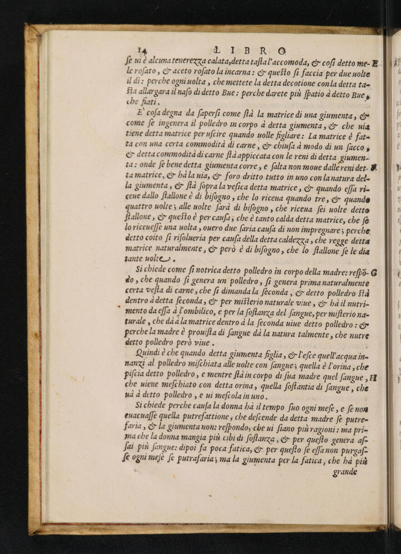 Je ui è alcimatenerezza calata,dettataftal’accomoda, &amp;y cofî detto me-B. (LO le rofato, cr aceto rofato la incarna : co questo fi faccia per due uolte È ‘ il dî: perche ogni uolta , chemettete la detta decotione conla detta ta= Sta allargara il nafo di detto Bue : perche darete più fpatio è detto Bue g. che fat 2. E cofa degna da faperfî come Rlè la matrice di una giumenta, cs come fe ingenera il polledro un corpo a detta giumenta s &amp; che uia tiene detta matrice per ufcire quando uolle figliare: La matrice è fat ta con una certa commodita di carne , &amp; chiufa è modo di un facco s &amp; detta commodita di carne fd appiccata con le reni di detta giumen- ta: onde fe benedetta giumenta corre, e falta non moue dalle reni det- ® Ri tamatrice, &amp; bala nia, &amp;y foro dritto tutto in uno conlanatura del la giumenta, &amp; fta fopralavefica detta matrice » &amp; quando effa ri= cene dallo flallone è di bifogno , che lo riceua quando tre, &amp; quande quattro uolte ; alle uolte fara di bifogno , che riceua fèi uolte detto ftallone , cx queSto è per caufa; che è tanto calda detta matrice, che fe lo riceneffè una uolta , ouero due faria caufa di non impregnare ; perche detto coito fi rifolueria per caufa dèlla detta caldezza , che regge detta matrice naturalmente , &amp; però è di bifogno , che lo Rallone Se le dia èante uolte >. | Si chiede come fi notrica detto polledro in corpo della madre: refo-G Il | do, che quando fi genera un polledro , fi genera prima naturalmente | certa vefta di carne s che fi dimandala feconda ; &amp; detto polledro Sta dentro a detta feconda, &amp; per misterio naturale viue, ex hd il nutri- * mento daeffa a l'ombilico, e per la foftanza del fangue, per mifterio na- turale , che da ala matrice dentro a la feconda uiue detto polledro : &amp; perche la madre è prouifta di Sangue da la natura talmente, che nutre detto polledro però viue . i Quindi è che quando detta giumenta figlia, &amp;l'efce quell'acqua in» nanzi al polledro mifchiata alle volte con fangue; quella è l’orina s che i, pifcia detto polledro , e mentre fia in corpo di fua madre quel Sangue, X ) che uiene mefchiato con detta orina, quella foftantia di Sangue , che ua da detto polledro , e ui meftolainuno. Si chiede perche caufa la donna ha il tempo fuo ogni mefe , e fe nor euacuaffe quella putrefattione ; che defcende da detta madre fe putre= faria , &amp; la giumenta non: refpondoyche ui fiano piu ragioni : ma pri= ma che la donna mangia più cibi di foftanza , &amp; per quefto genera afe fai più fangue: dipoi fa poca fatica, &amp; per quefto fe effanon purgafe {e ogni mefè fe putrafaria; ma la giumenta per la fatica, che ha più grande