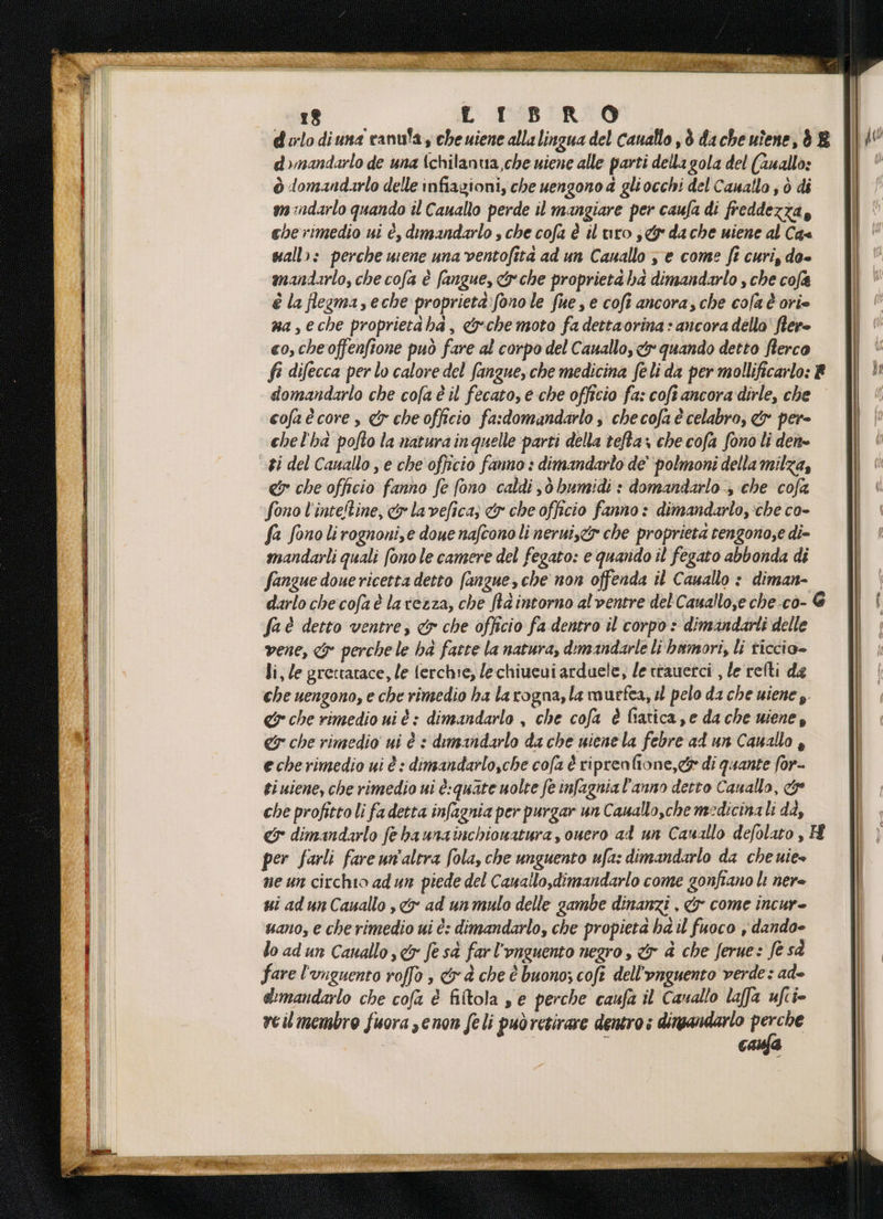 dulo diuna canu'a, cheuiene allalingua del canallo , è dache uîene, è E d>mandarlo de una tchilantia,che uiene alle parti della gola del (2uallo: ò domandarlo delle infiagioni, che uengono a gliocchi del Cauallo ; ò di miindarlo quando il Cauallo perde il mangiare per caufa di freddezza, che rimedio ui è, dimandarlo , che cofa è iluro se da che uiene al Ca= wall»: perche urene una ventofita ad un Canallo s'e come fi curi, do- mandarlo, che cofa è fangue, &amp; che proprieta ha dimandarlo , che cofa è la flezema,eche proprietà: fono le fue, e cofî ancora, che cola è orie na ,eche proprietàha, «che moto fa dettaorina + ancora dello' fiere co, che offenftone può fare al corpo del Cauallo, ty quando detto fierco fi difecca per lo calore del fangue, che medicina feli da per mollificarlo: R domandarlo che cofa è il fecato, e che officio fa: coft ancora dirle, che cofaè core, &amp; che officio fa:domandarlo s checofa è celabro, &amp; per- chel'ha pofto la matura in quelle parti della tefta» che cofa fono li dente er che officio fanno fe fono caldi sd bumidi + domandarlo ; che cofa fa fono lirognoni,e doue nafcono linerui,&amp;s che proprieta rengono,e di- mandarli quali fono le camere del fegato: e quando il fegato abbonda di fangue doue ricetta detto fangue, che non offenda il Cauallo : diman- darlo che cofa è lavezza, che fra intorno alventre del'Cauallo,e che.co- € faè detto ventre, &amp;s che officio fa dentro il corpo è dimandarti delle vene, &amp;° perche le ha fatte la natura, dimandarle li bamori, li ticcio= li, le grettatace, le ferchie, lechiucuiarduele, le ttauetci , le relti de che uengono, e che rimedio ha la rogna, la murfea, sl pelo da che uiene y. &amp; che rimedio ui és dimandarlo , che cofa è lratica,e da che uiene, &amp; che rimedio ui è + dimandarlo da che uiene la febre ad un Cauallo , echerimedio ui è : dimandarlo,che cofa è riprenfione,e&amp; di quante for- ti uiene, che rimedio ui è:quate uolte fe infagnial’anno detto Cauallo, &amp;e che profitto li fa detta infagnia per purgar un Cauallo,che medicinali dè, e dimandarlo fe haunainchiowatura , ouero ad un Canallo defolato , H per farli fare un’altra (ola, che unguento ufa: dimandarlo da che uie» ne un circhio adun piede del Cauallo,dimandarlo come gonfiano li ner= ui ad un Cauallo , &amp; ad un mulo delle gambe dinanzi , &amp; come incur- sano, e che rimedio ui è: dimandarlo, che propieta ha il fuoco , dando- lo ad un Cauallo &amp; fe sà farl'onguento negro, &amp; è che ferue: fe sà fare l'onguento roffo è &amp;d che è buono; cofi dell'unguento verde: ade dimandarlo che cofa è filtola s e perche caufa il Cauallo laffa ufcie reil membro fuora senon feli puòretirare dentro s dingandarlo per he CA n“