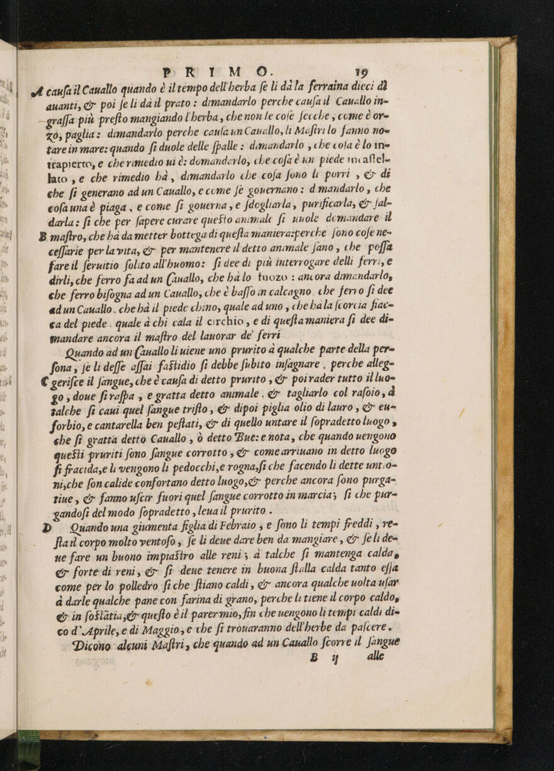 darla: fi che per fapere curare queSto animale fi uuole demandare il cellarie per lavita, &amp; per mantenere il detto animale fano , che pofla dirli,che ferro fa ad un (uallo, che halo tuozo : ancora dimandarlo, adunCauallo. che ha il piede chino, quale ad uno ; che ha la fcorcia fiac= ca del piede . quale d chi cala il orchio , e di queftamaniera fi dee di- mandare ancora il maftro del lauorar de’ ferri vando ad un(auallo li viene uno prurito d qualche parte della per= fona; fe li delle affai fastidio fi debbe fubito infagnare . perche alleg= o; doue firafpa s e gratta detto animale . &amp; tagliarlo col rafoio, P zalche fi caui quel fangue trifto, &amp; dipoi piglia olio di lauro , &amp; eu- che fî gratta detto Cauallo , è detto Bue:e nota, che quando uengono questi pruriti fono fangue corrotto &amp; come arrinano m detto luogo È fracidaze li vengono lì pedocchi,e rogna»fi che facendo li dette unt.0- ni,che fon calide confortano detto luogo,c&amp;y perche ancora fono purga- ziue, &amp; fanno ufcio fuori quel fangue corrotto in marcia; fi che pur= Pal corpo molto ventofo ;. fe li deue dare ben da mangiare, &amp; feli de= ue fare un buono impiaStro alle reni; a talche fi mantenga caldag ey forte di reni, &amp; fi deue tenere in buona ftalla calda tanto e/ja come per lo polledro fiche fiano caldi, &amp; ancora qualche uolta ufar a darle qualche pane con farina di grano, perche litiene il corpo caldoy &amp; in foftatia;&amp;quefto è il parermio, fin che uengono li tempi caldi di= co d’Aprile,e di Maggio,e che fi trouaranno dell'herbe da palcere . Dicono alcuni Maftri, che quando ad un Cauallo fcorre il Jangue BY alle